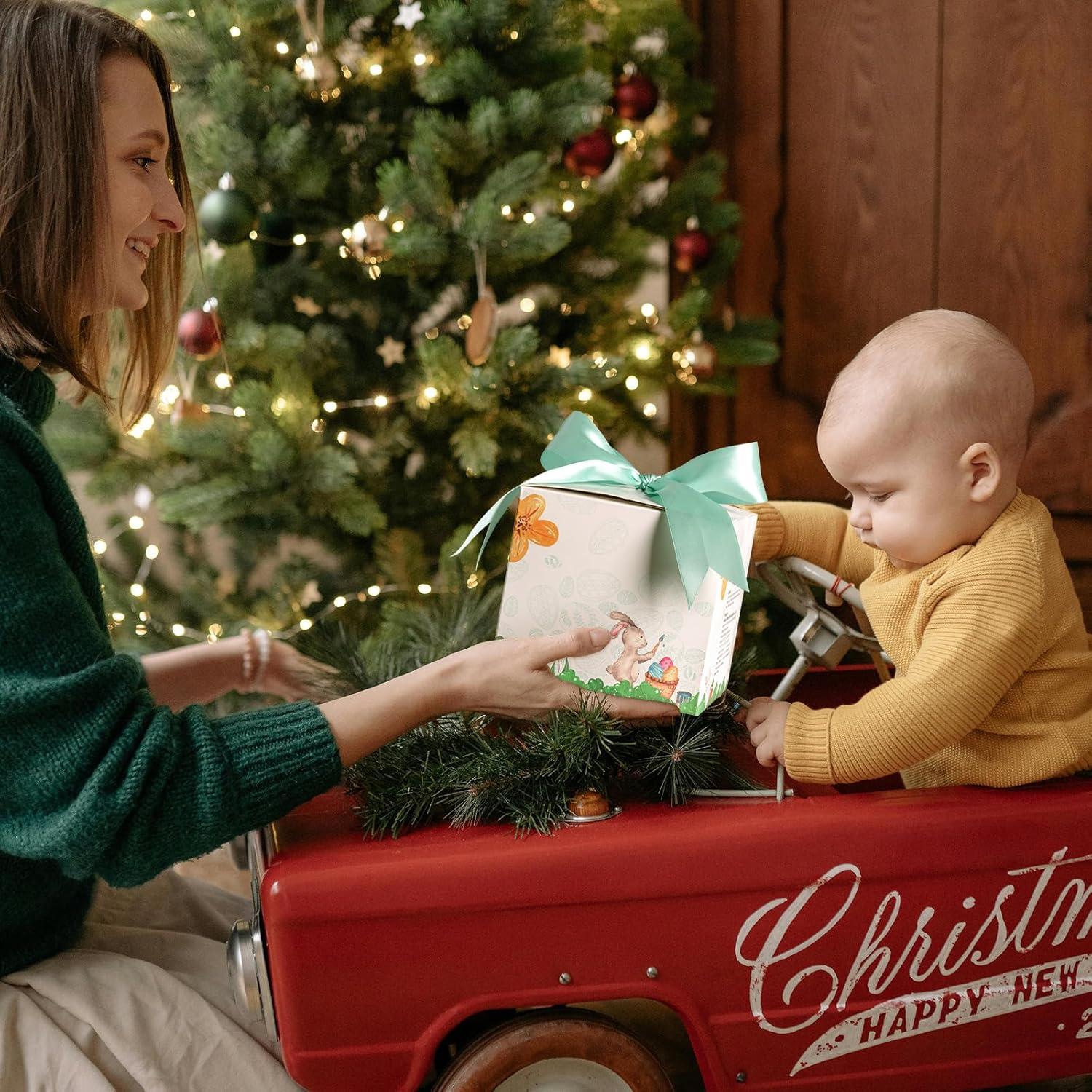 Juguete de Clasificación de Zanahoria NCVI para Bebés 6+ Meses