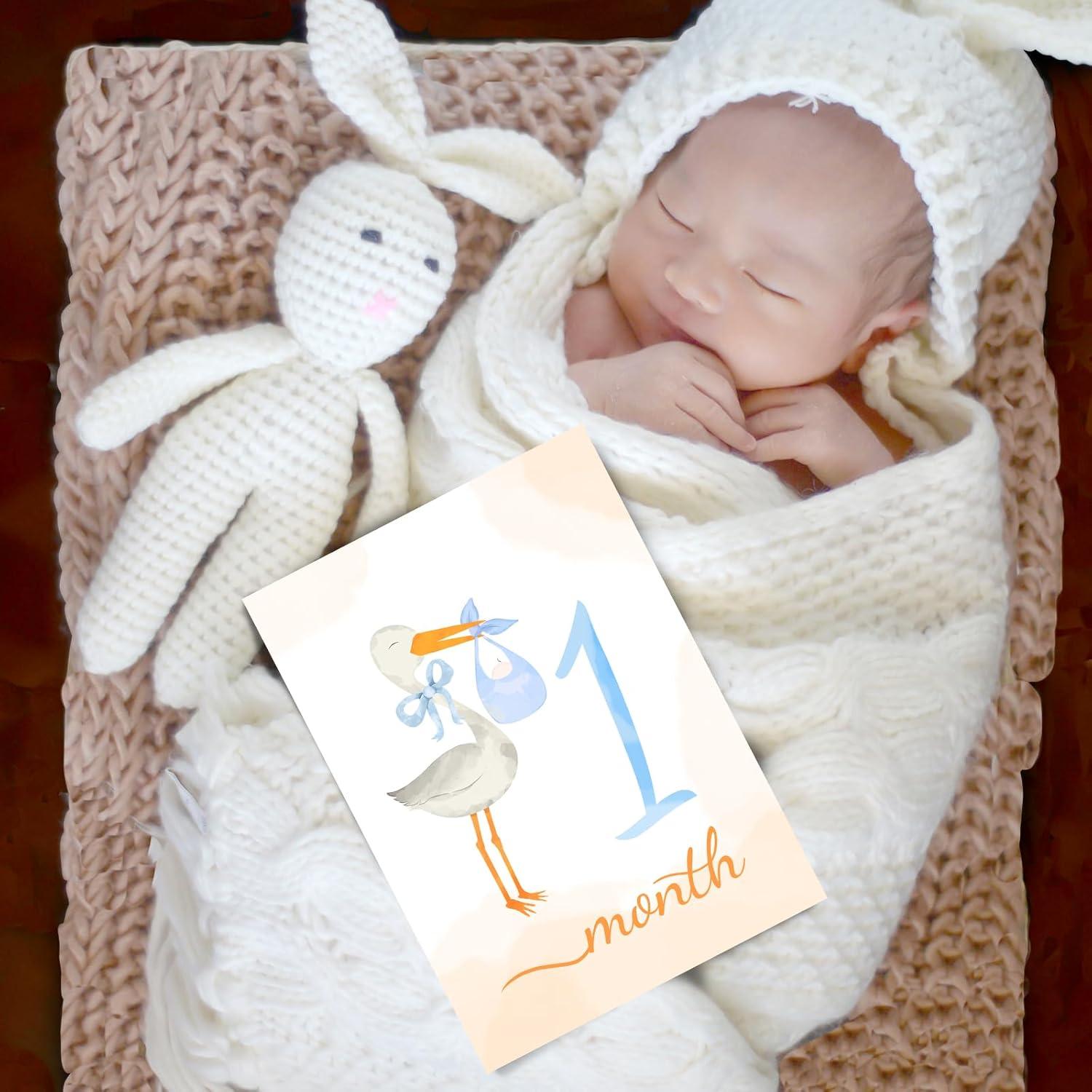 Tarjetas de Hitos Mensuales para Bebés - 12 Piezas Acuarela