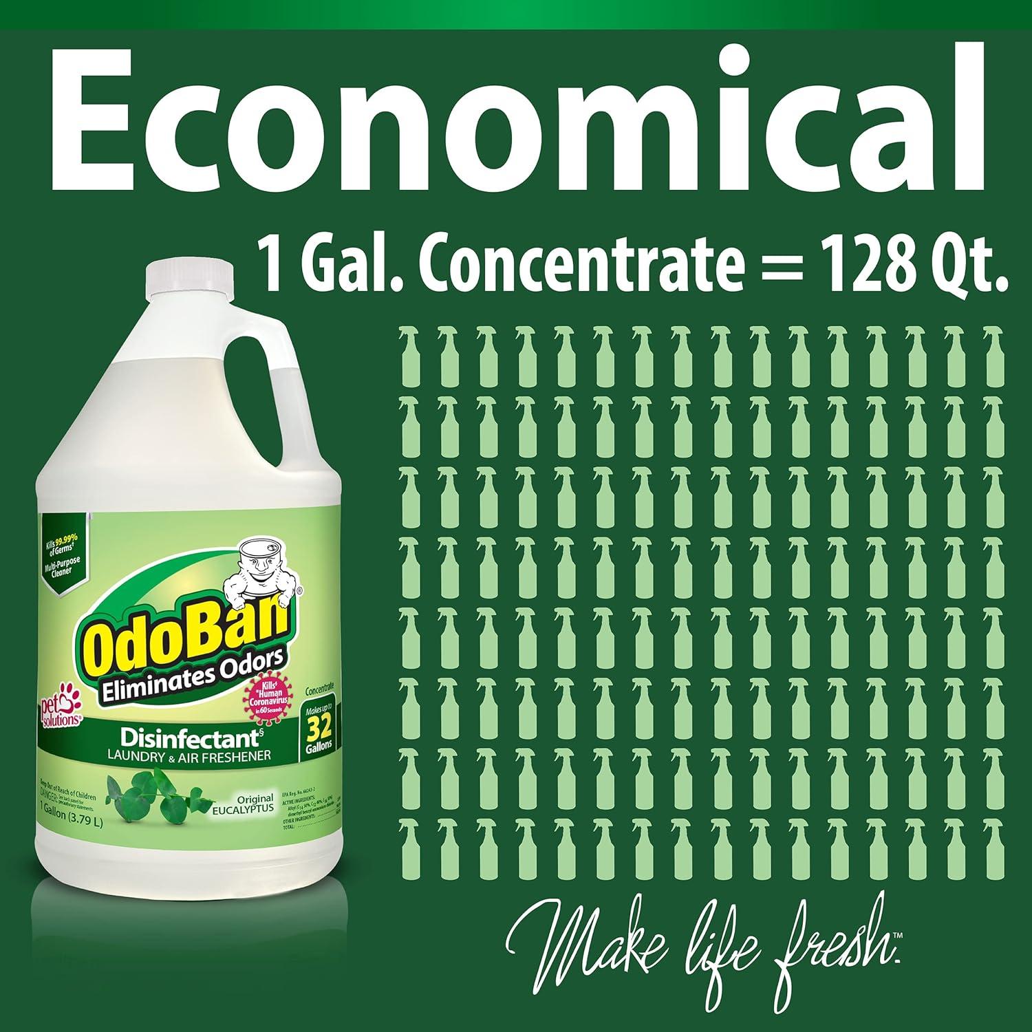 OdoBan Desinfectante Concentrado 3.9kg Eucalipto Multiusos