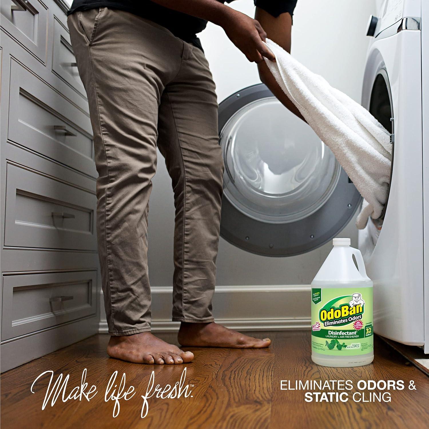 OdoBan Desinfectante Concentrado 3.9kg Eucalipto Multiusos