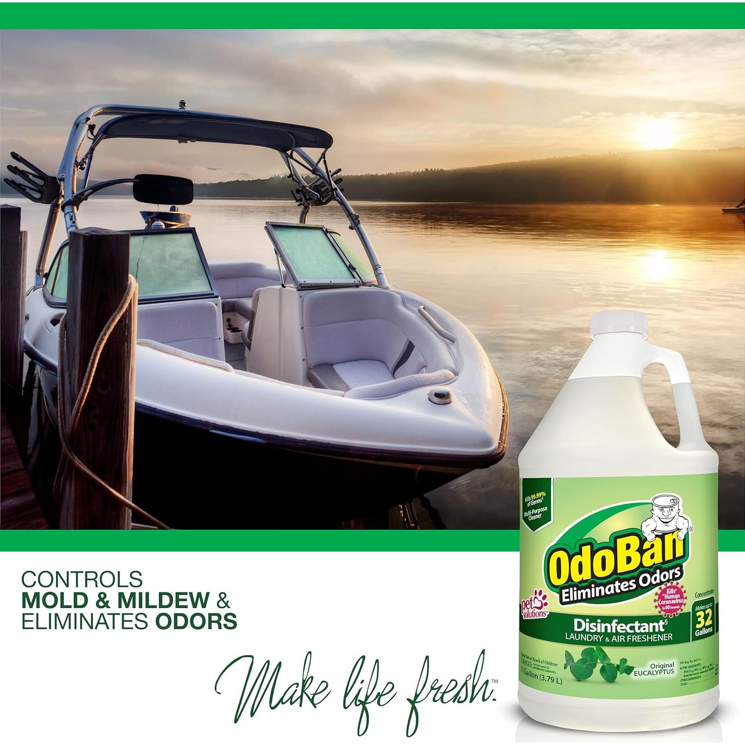 OdoBan Desinfectante Concentrado 3.9kg Eucalipto Multiusos