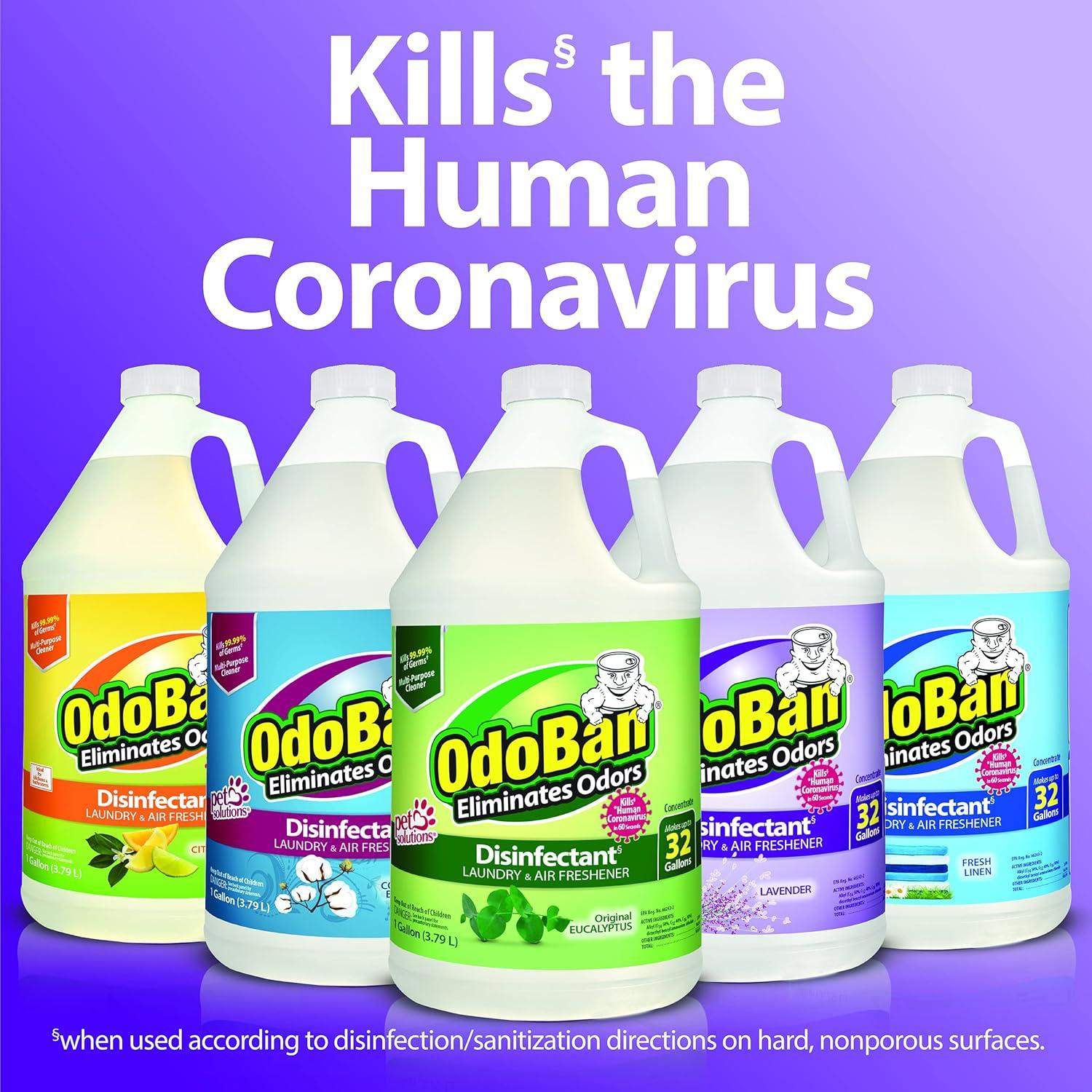 OdoBan Desinfectante Concentrado 3.9kg Eucalipto Multiusos