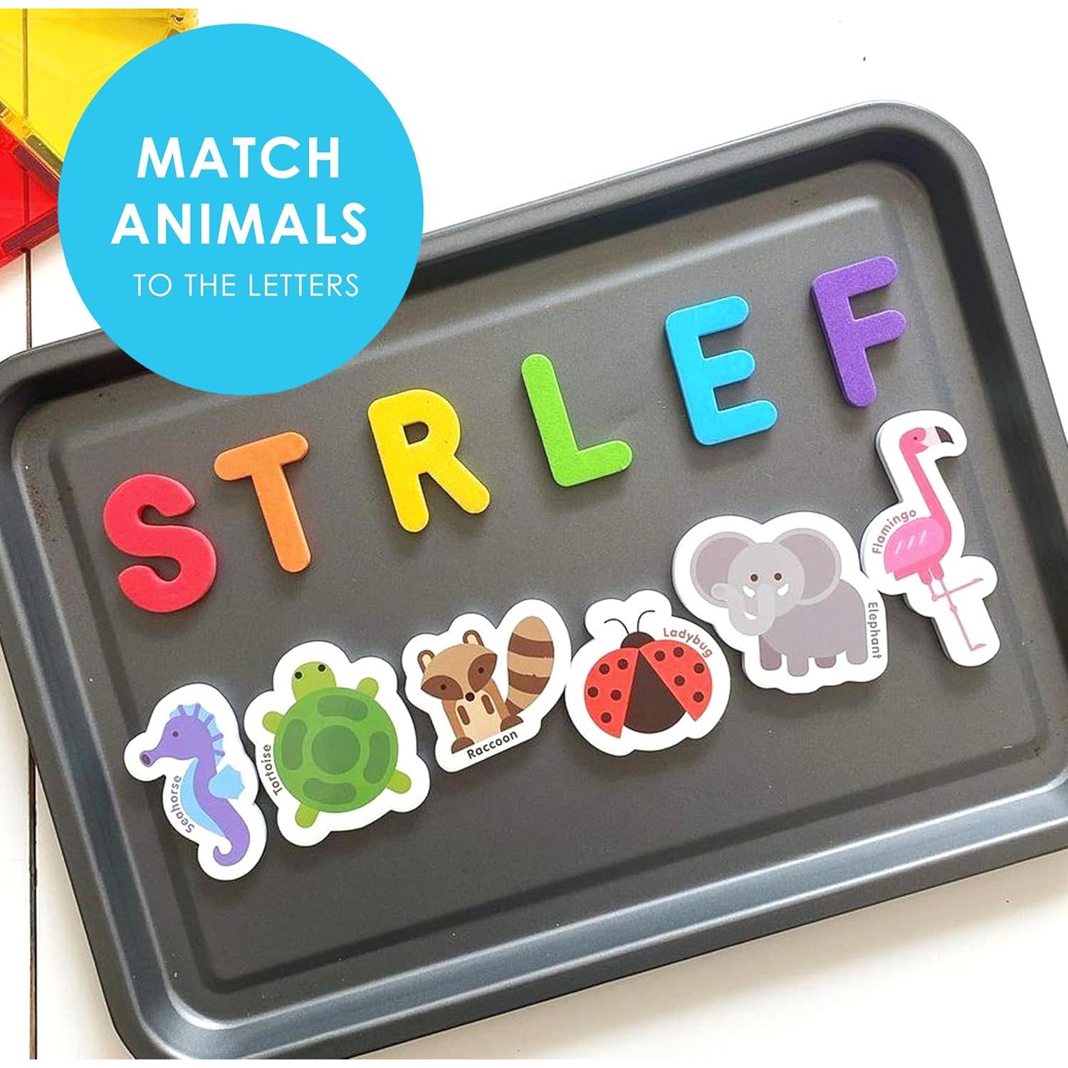 Imanes de Animales y Letras ABC Curious Columbus - 52 Piezas