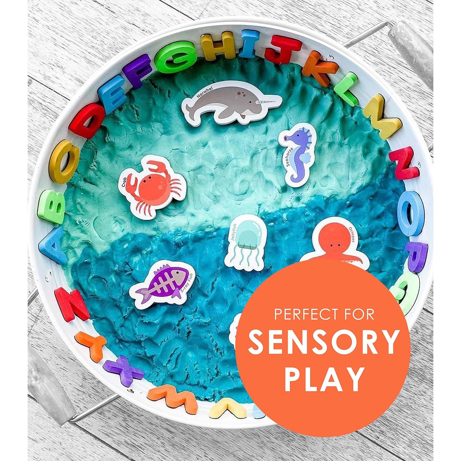 Imanes de Animales y Letras ABC Curious Columbus - 52 Piezas