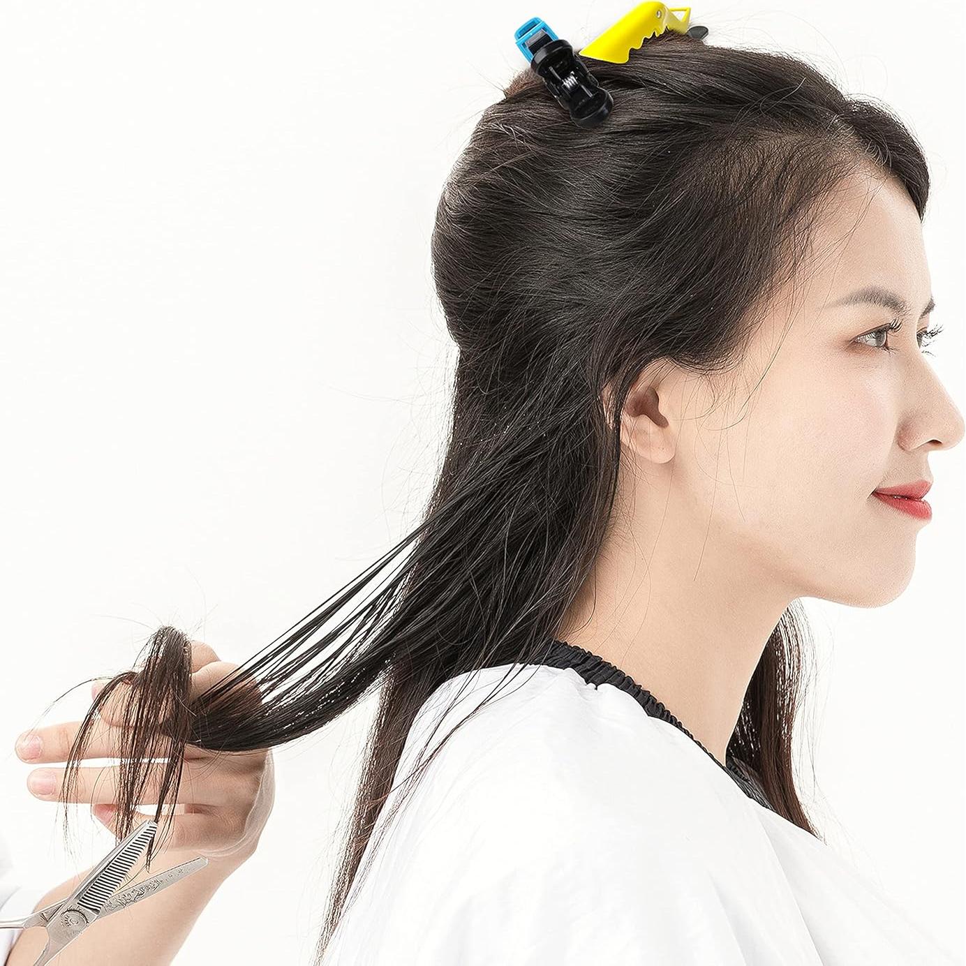 Clips para Cabello HH&LL - Doble Bisagra, 10 Piezas Mezcla