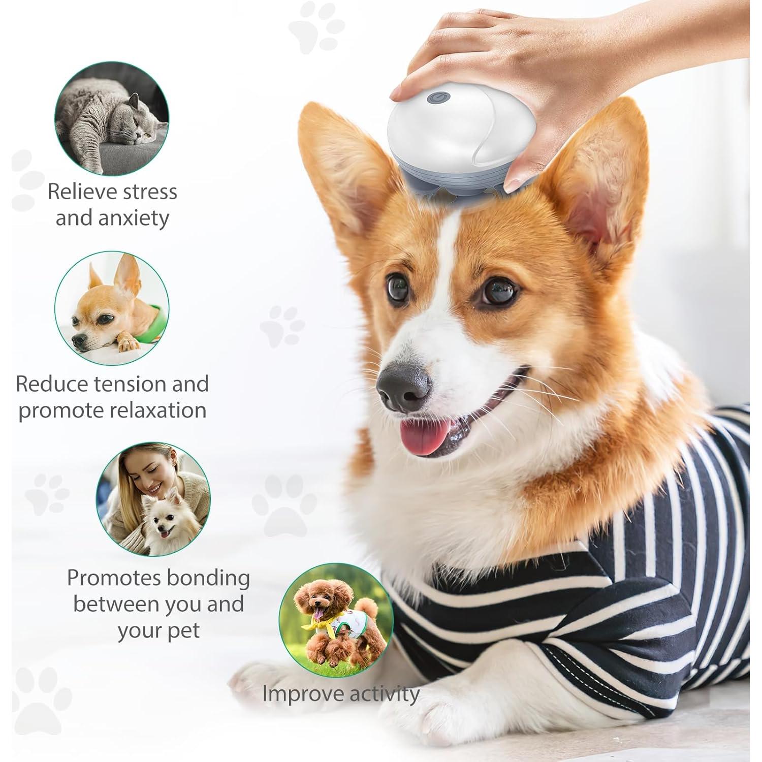 Masajeador Eléctrico de Cuero Cabelludo ORIA, 4 Garras, IPX6