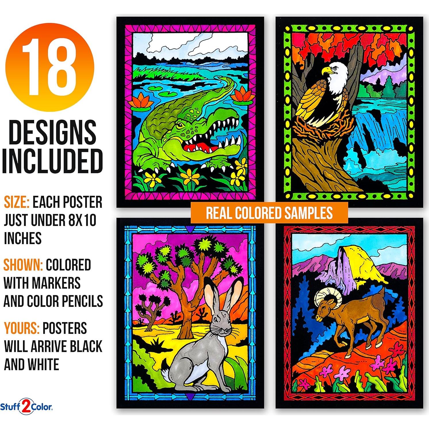 Super Pack 18 Pósters de Colorear Terciopelo Parques Nacionales