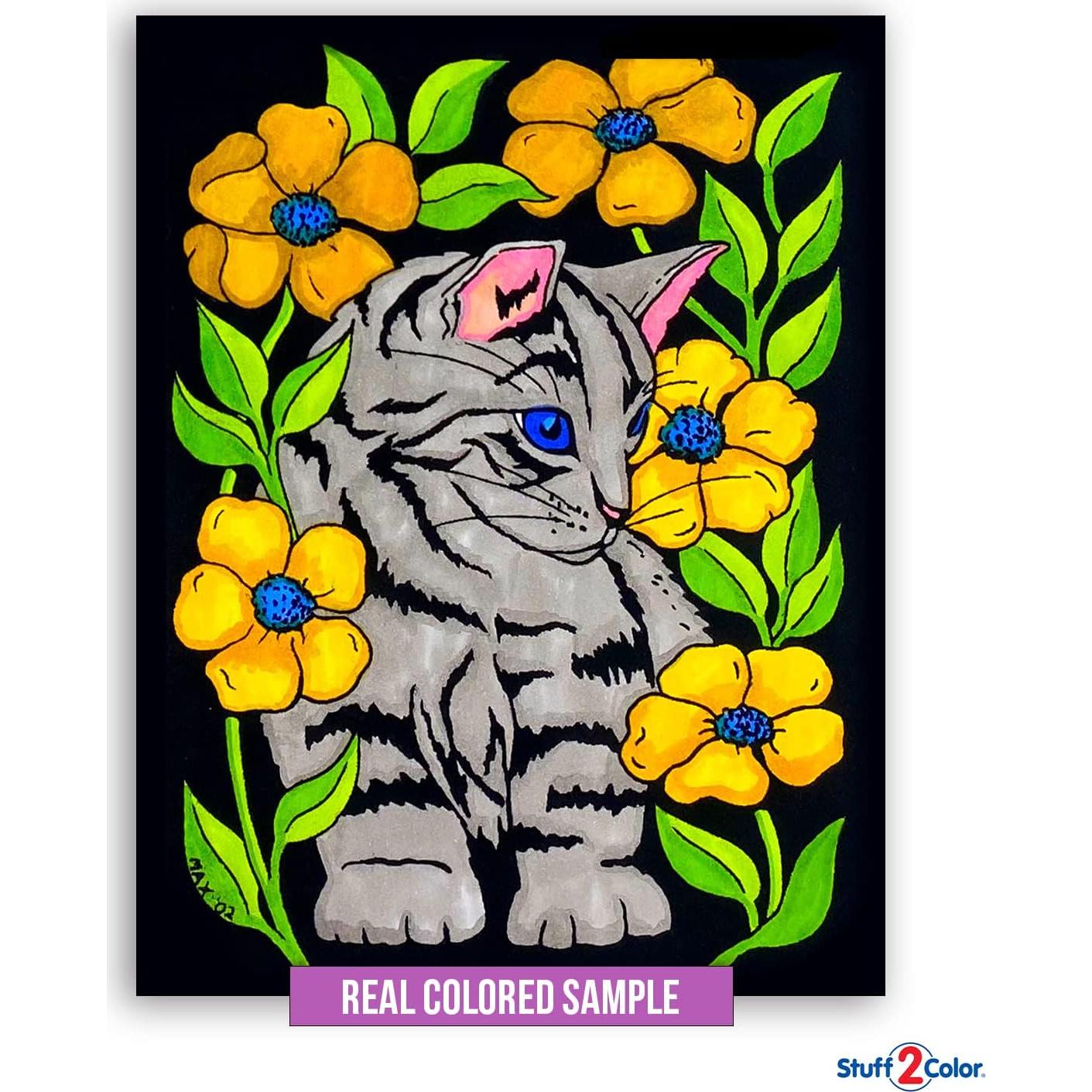 Pack de 18 Pósters de Colorear Terciopelo Difuso Stuff2Color