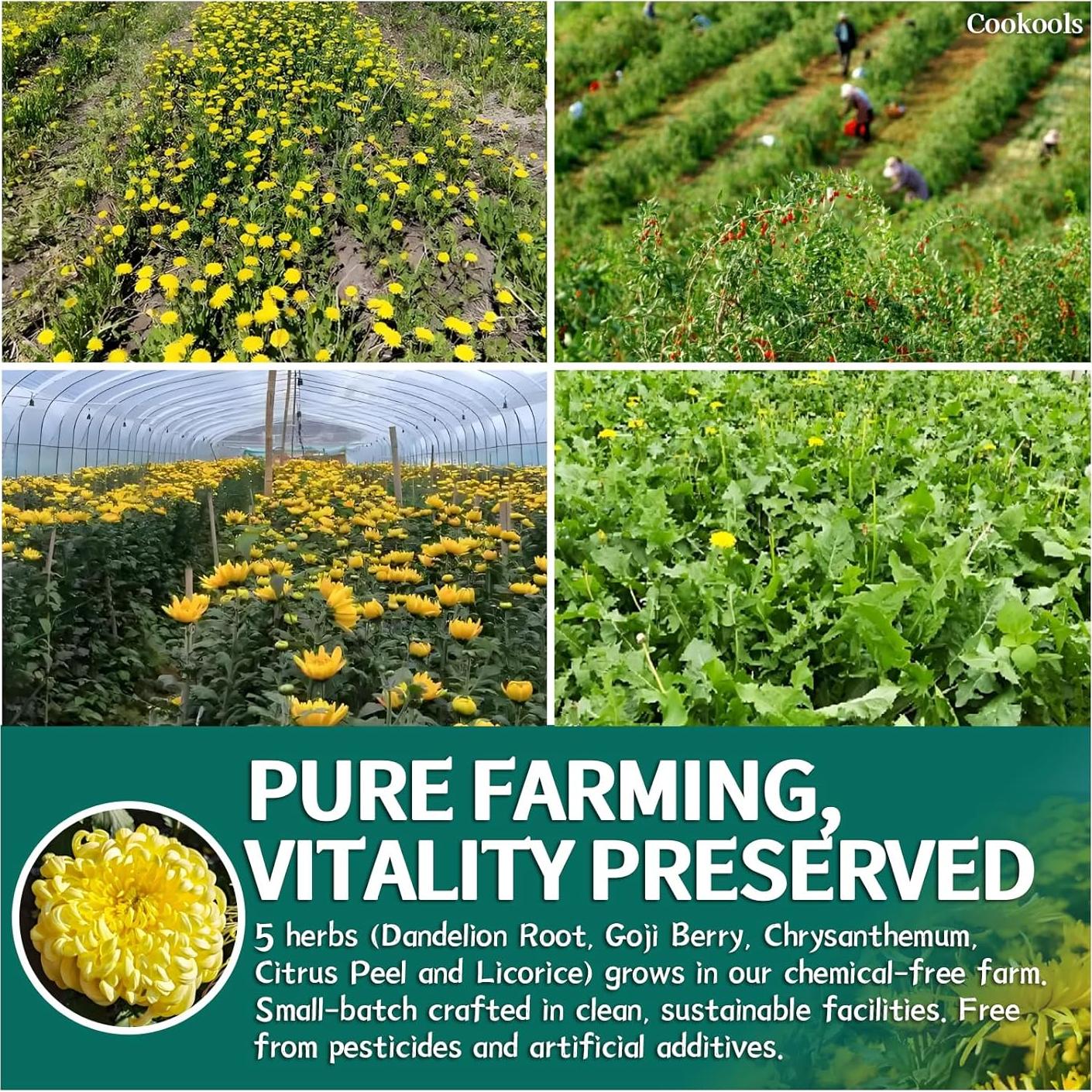 Té Detox Natural Cookools 20 Unidades Diente de León y Goji