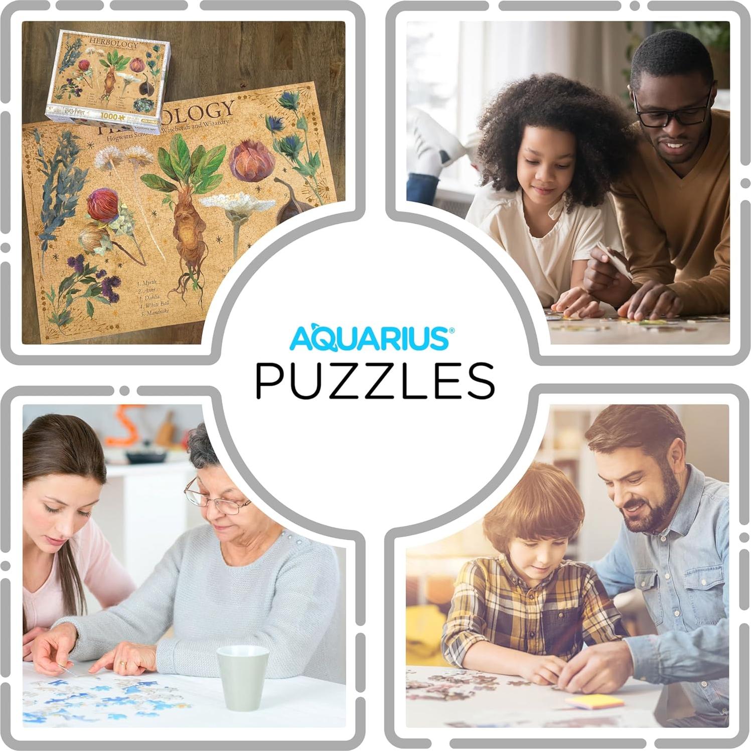 Rompecabezas 1000 Piezas Harry Potter Herbología AQUARIUS 50.8x71.1 cm