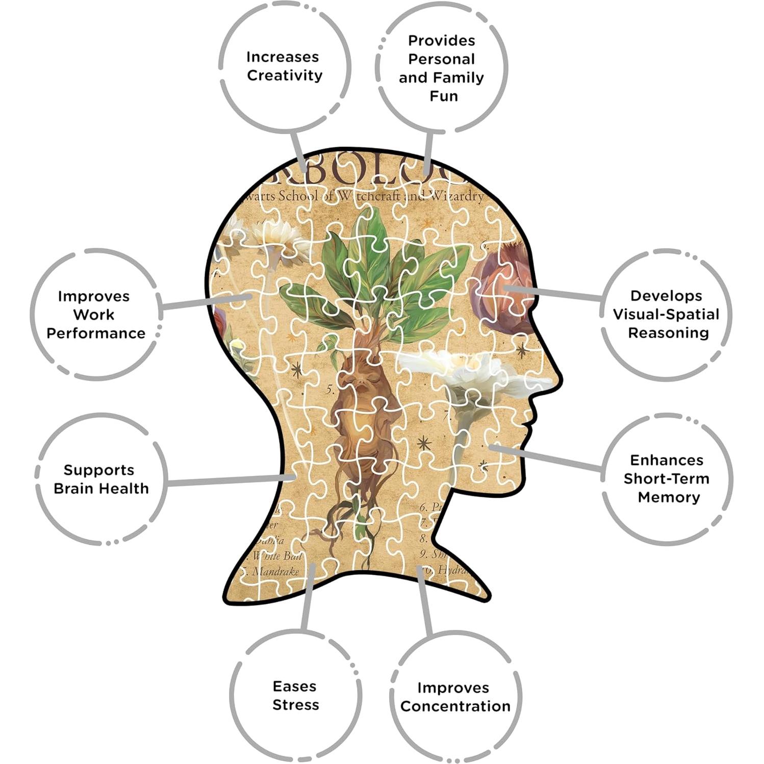 Rompecabezas 1000 Piezas Harry Potter Herbología AQUARIUS 50.8x71.1 cm