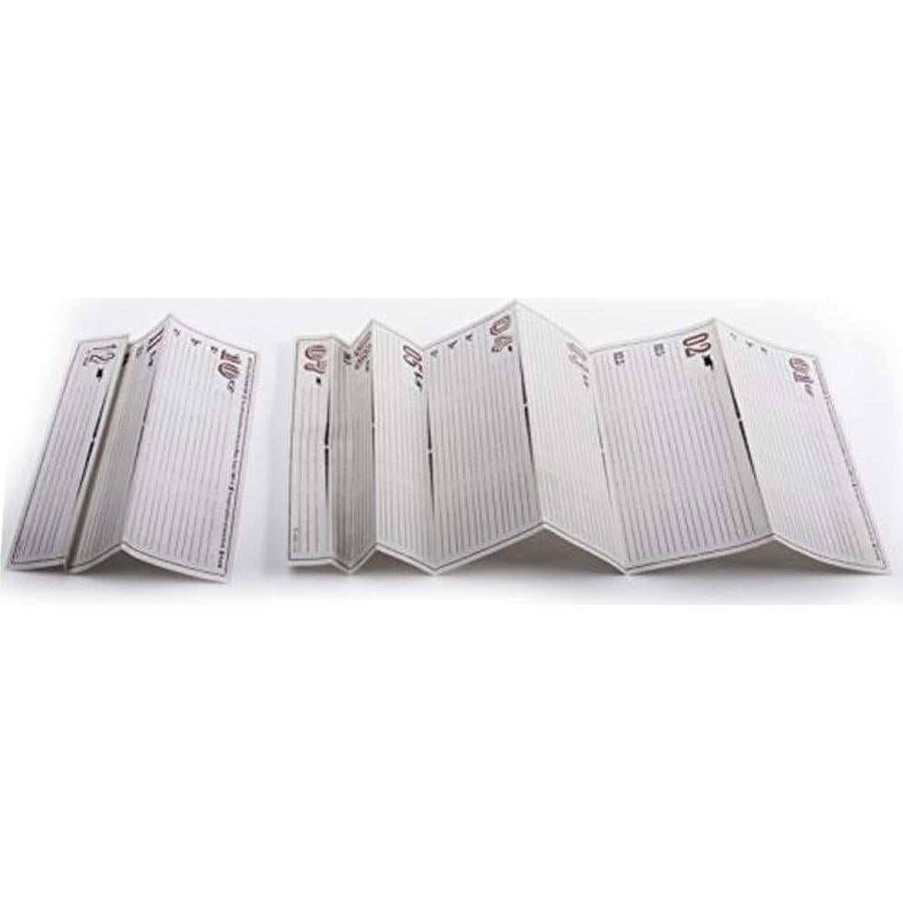 Caja de Artefactos de Hermione Granger The Noble Collection