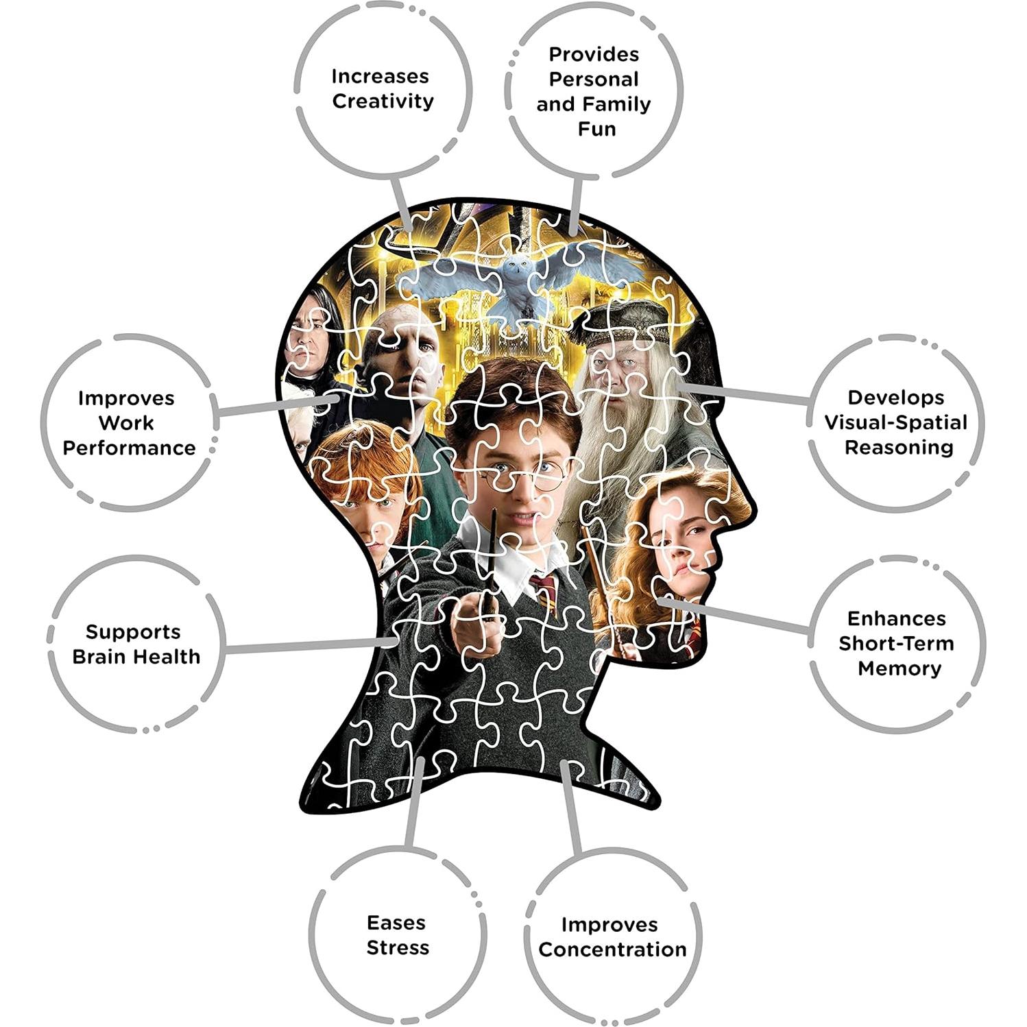 Rompecabezas Harry Potter Collage 1000 Piezas AQUARIUS 50.8x71.1cm