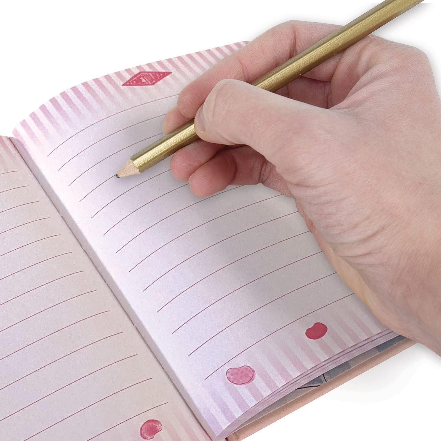 Diario Harry Potter con Cerradura y Llave - 2 Piezas