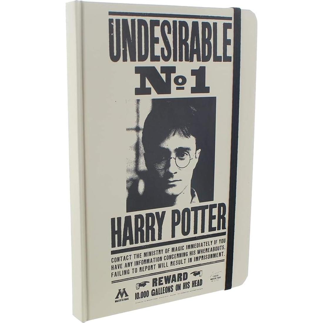 Caja de Coleccionistas Harry Potter Toynk - 2 Artículos