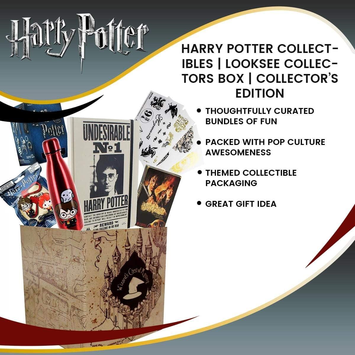 Caja de Coleccionistas Harry Potter Toynk - 2 Artículos