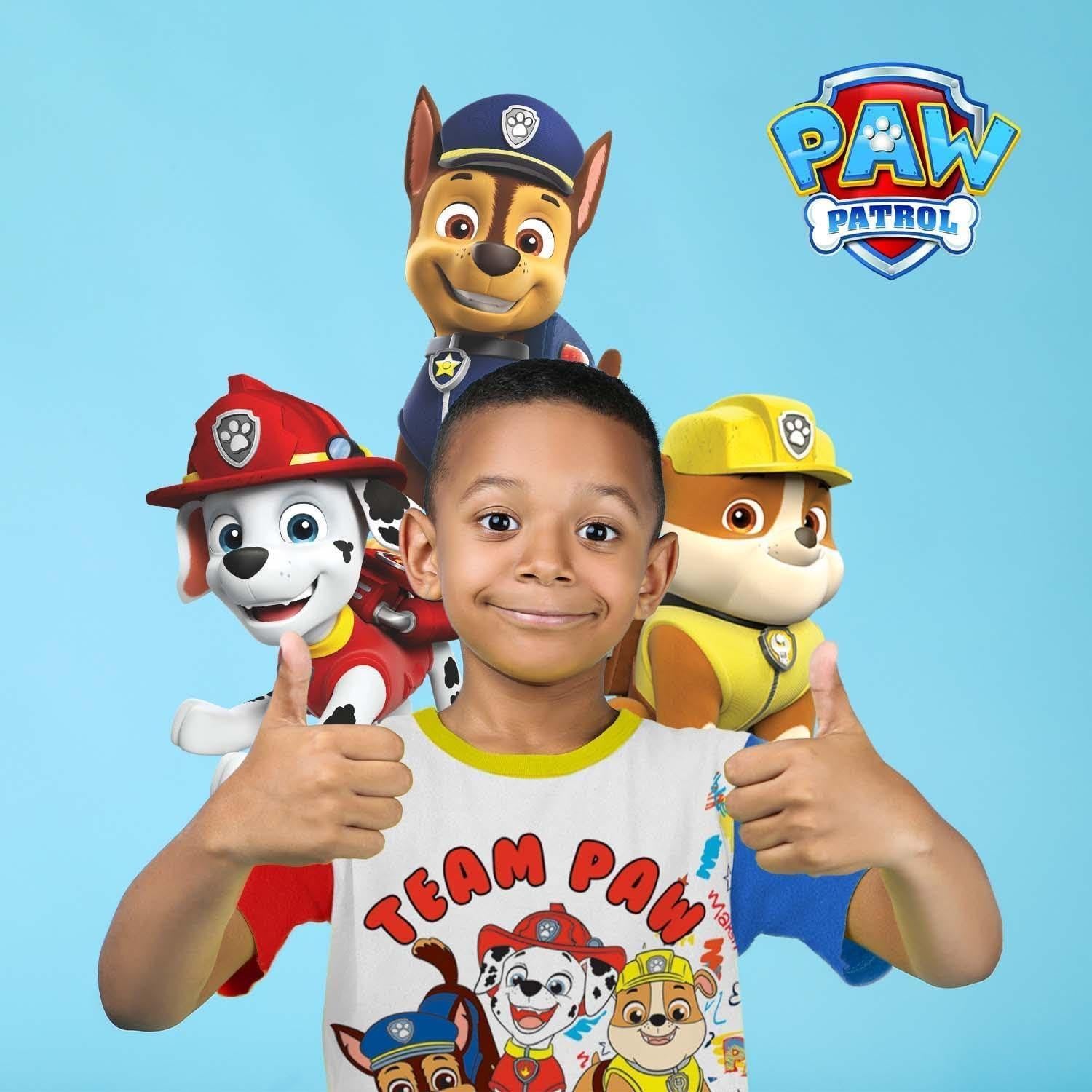 Camiseta Paw Patrol SJE TEE 3 Diseños Niños 2T