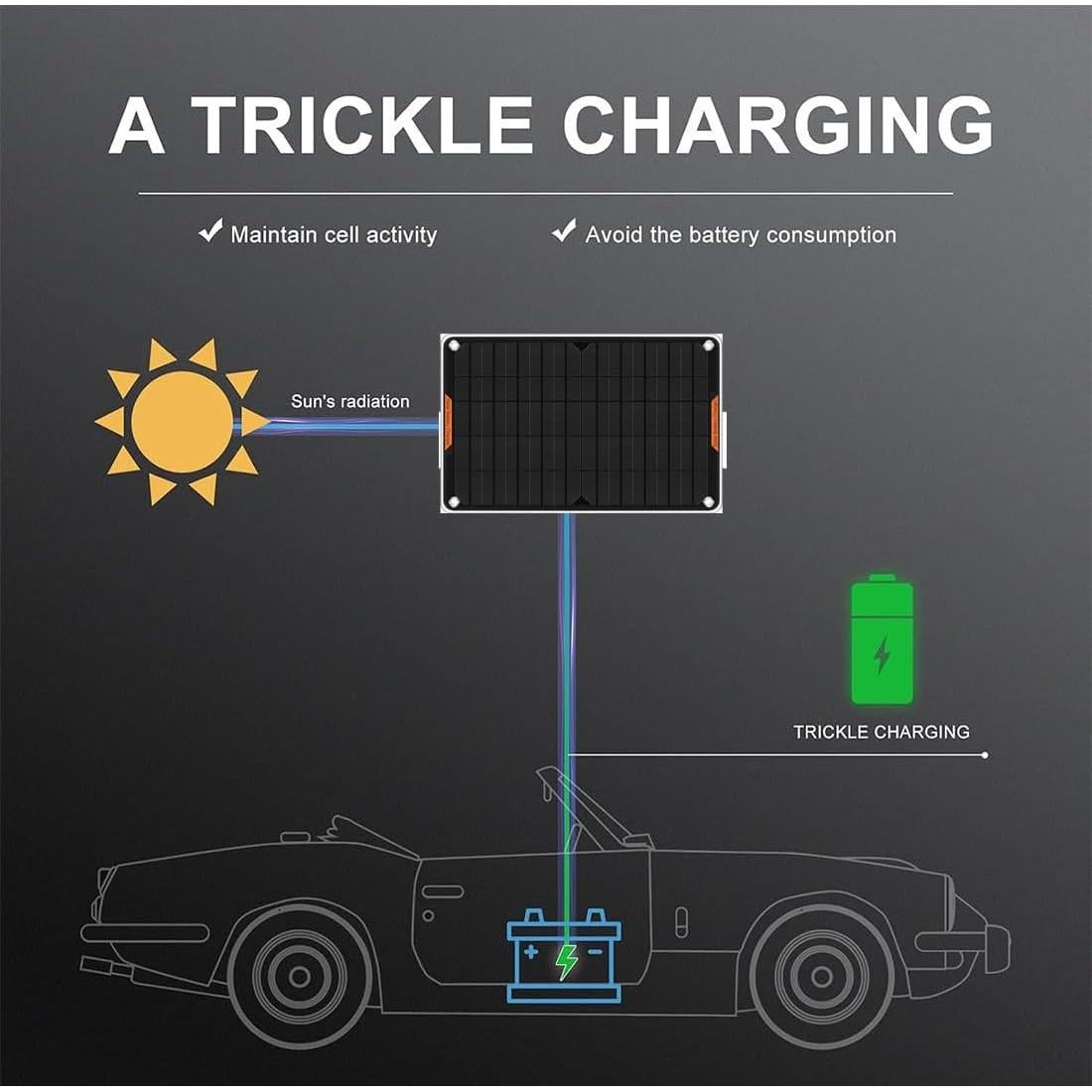 Cargador Solar Hoysicy 10W 12V con Clip y Adaptador