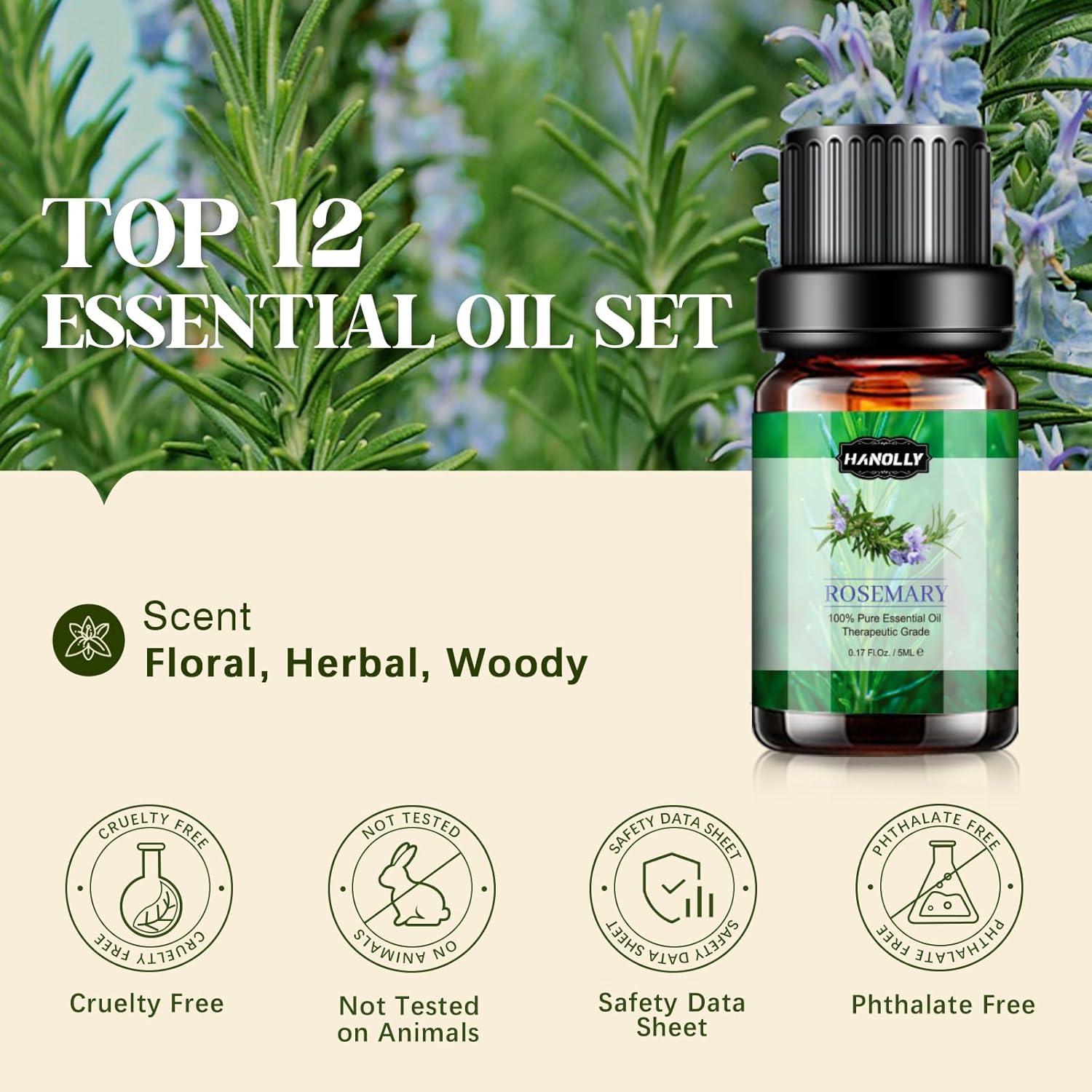 Juego de Aceites Esenciales 12x5ml Hanolly - Aromaterapia