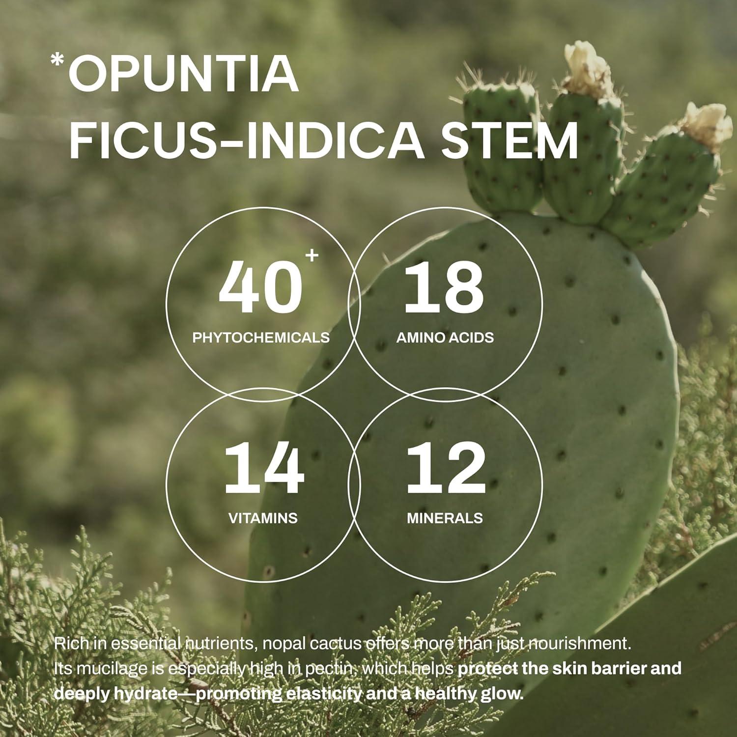 Suero Bouncy Orgánico de Cactus Whamisa 52ml - Hidratación 48hrs