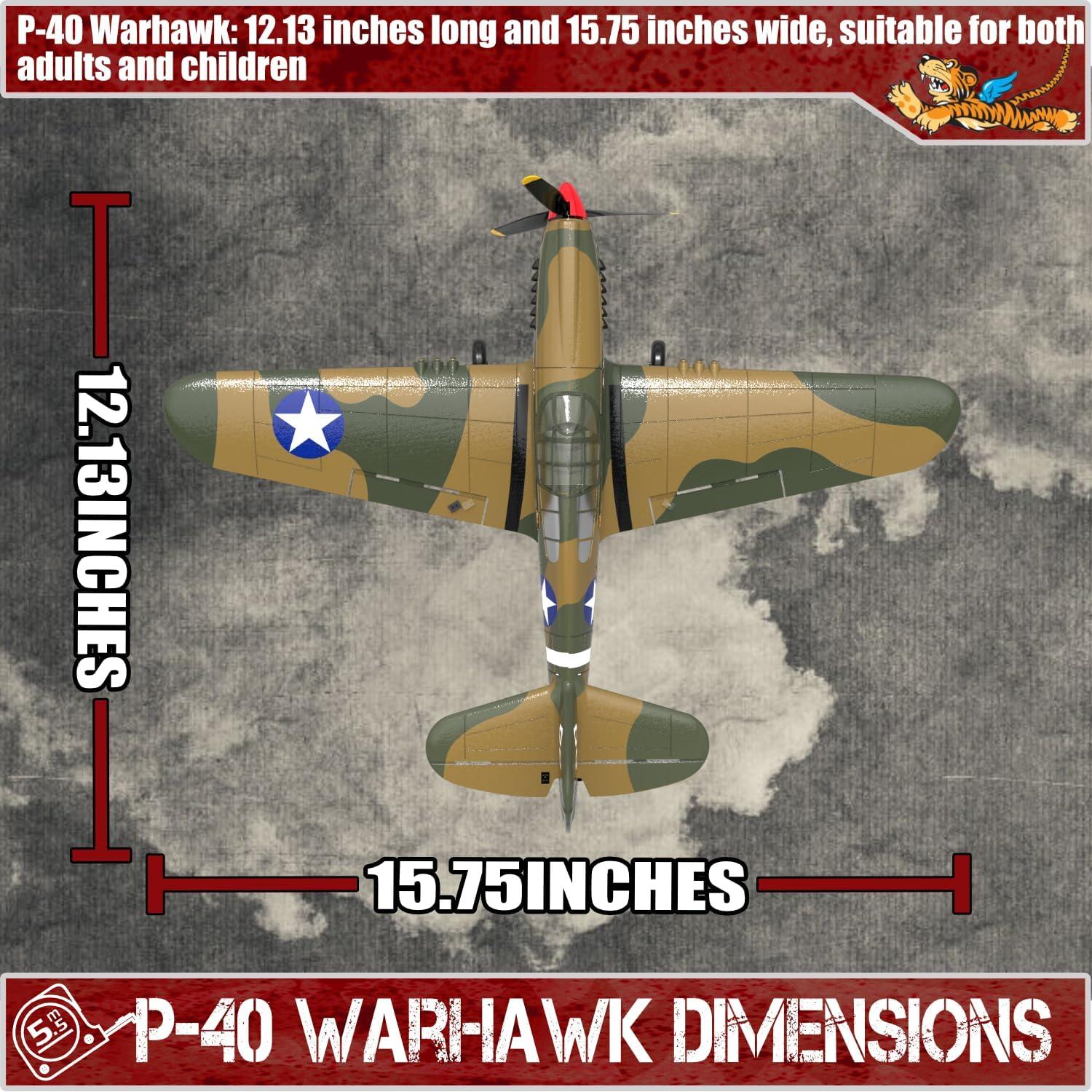 Avión RC LEAMBE P-40 Warhawk 35.5 cm para Principiantes