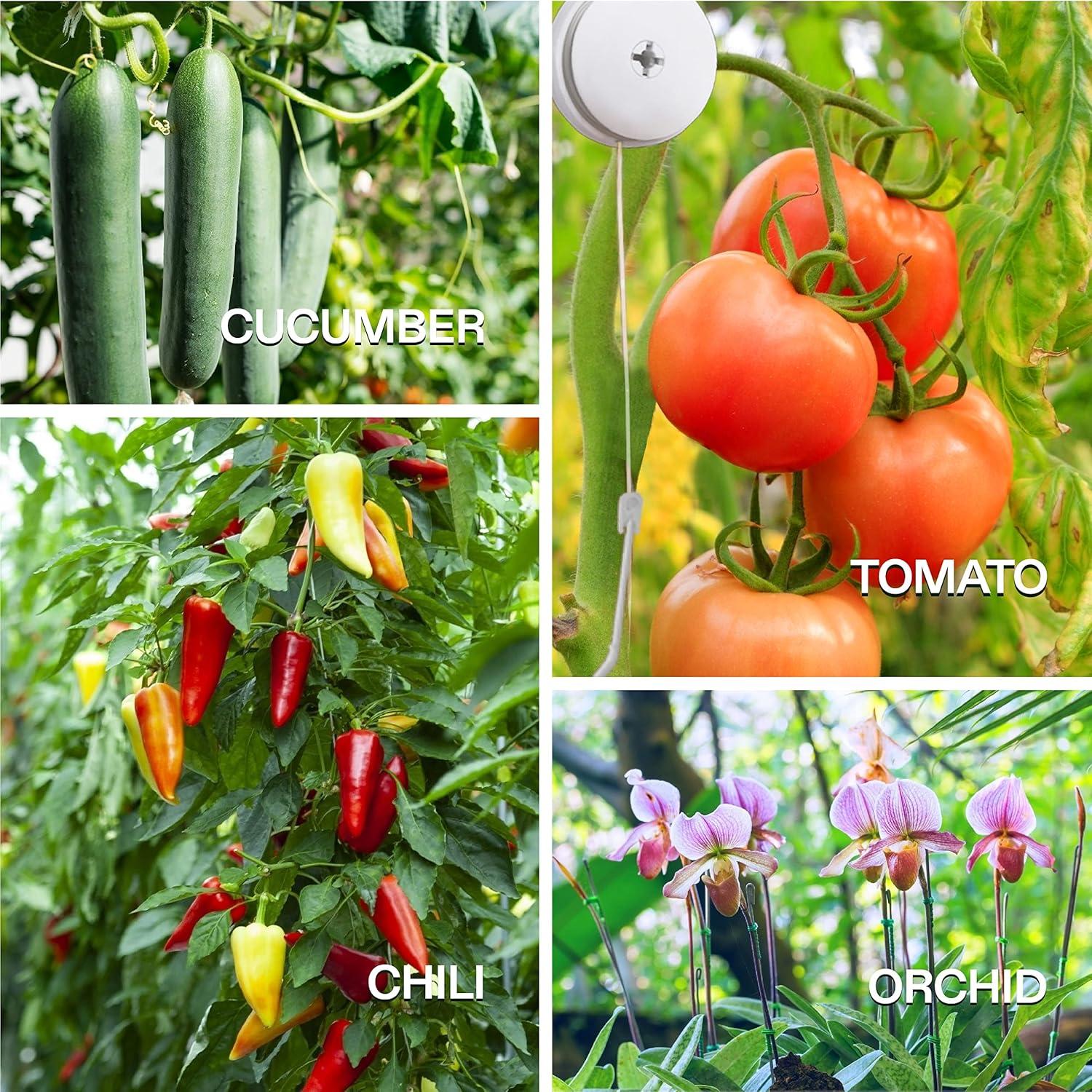 Yoyo Retráctil para Plantas VIVOSUN 12 PCS Amarillo