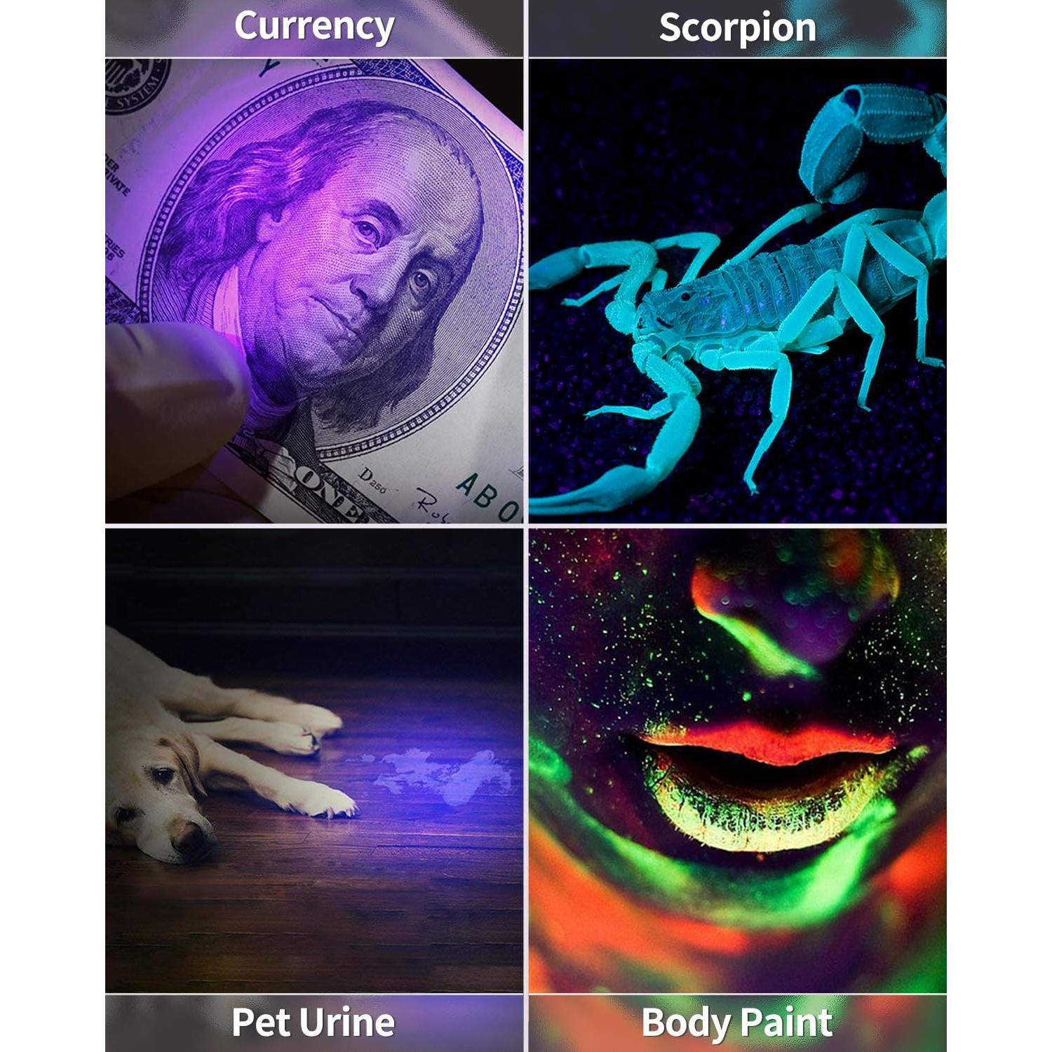 Uniclife Paquete de 5 Mini Linternas LED UV Portátiles