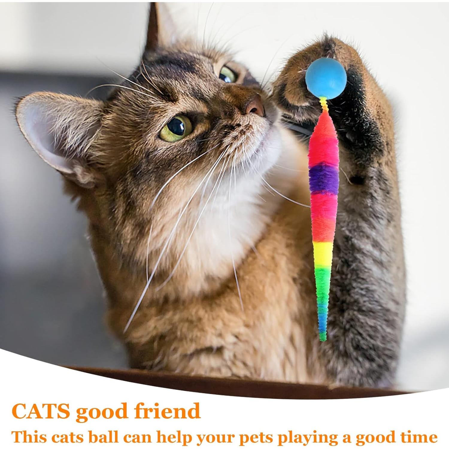 Juguete para Gatos SHENGSEN 5 Paquetes Gusano Colorido