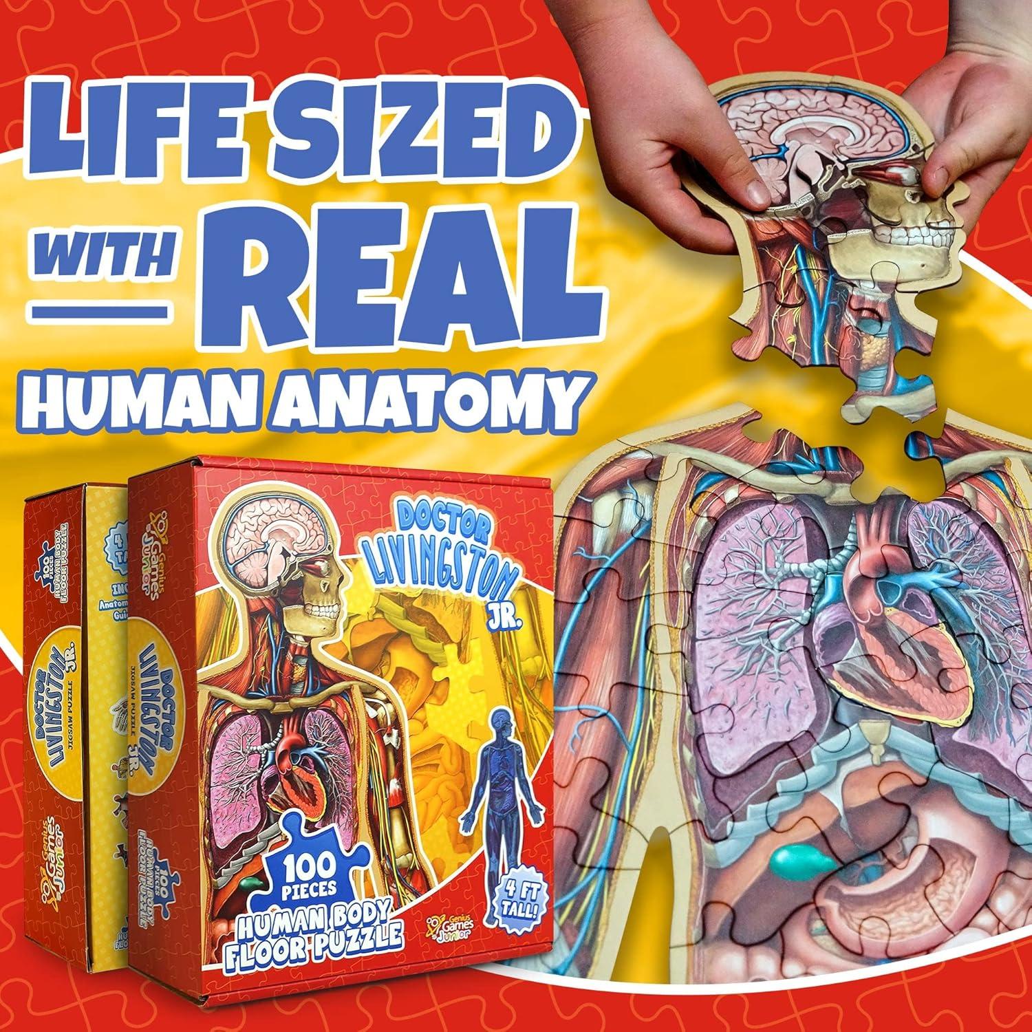 Rompecabezas de Anatomía Humana Genius Games 100 Piezas