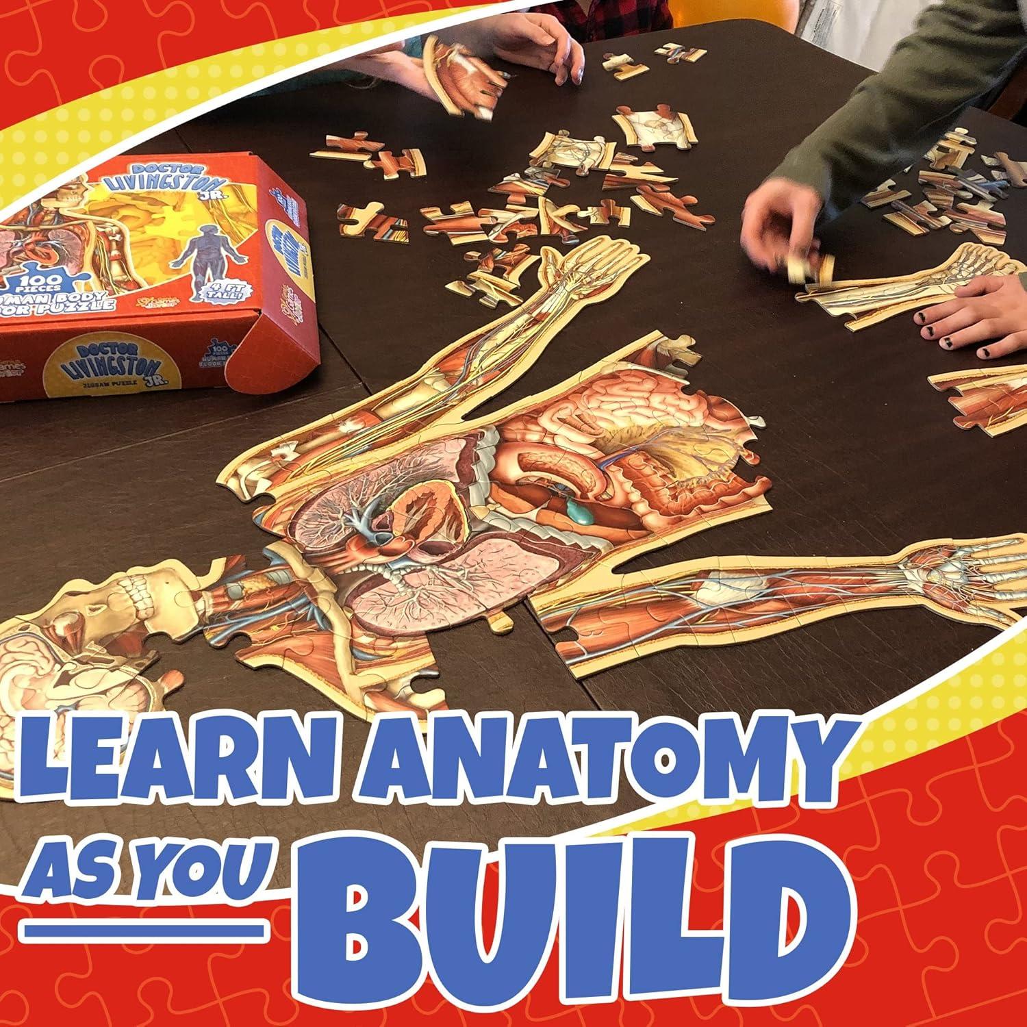 Rompecabezas de Anatomía Humana Genius Games 100 Piezas