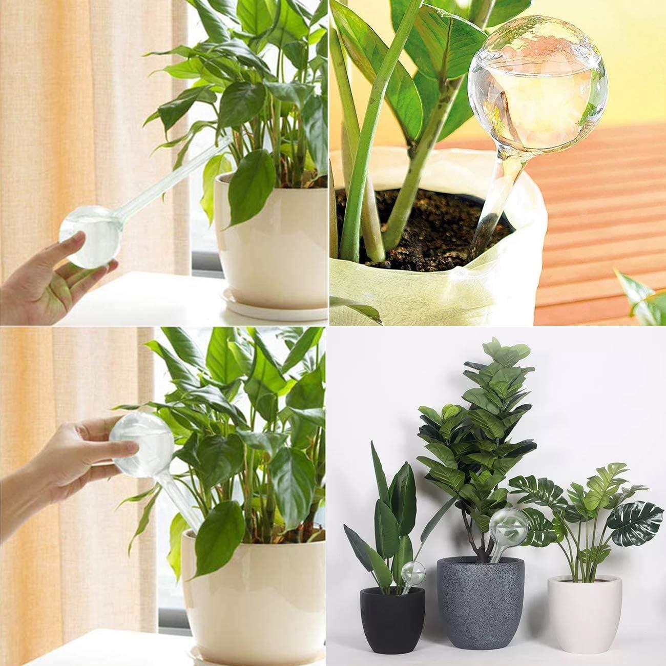 6 Bombillas de Autorriego Gddochn para Plantas - 3 Grandes y 3 Pequeñas