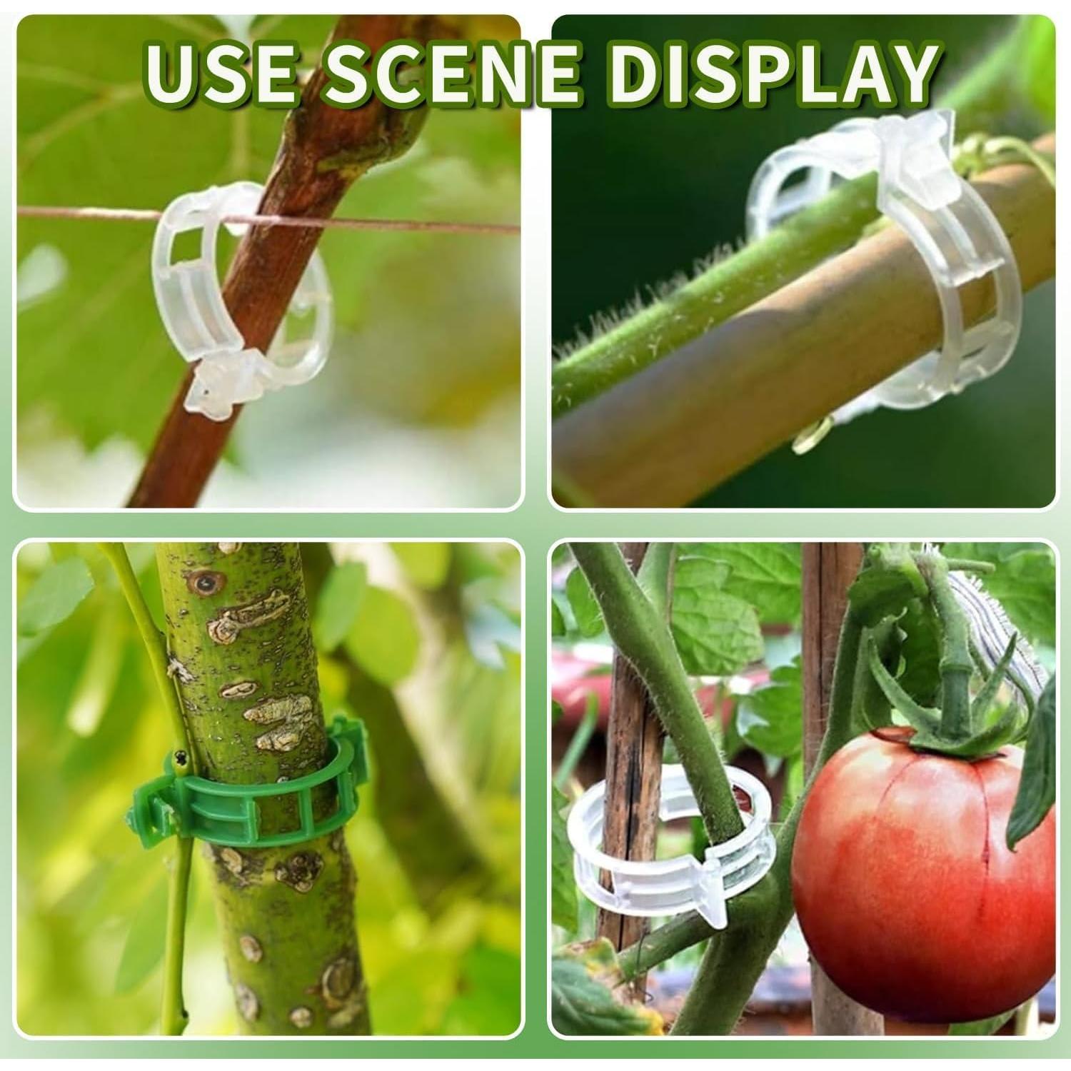 Clips de Jardín Reutilizables AOEMSMEISN para Plantas 100 Unidades