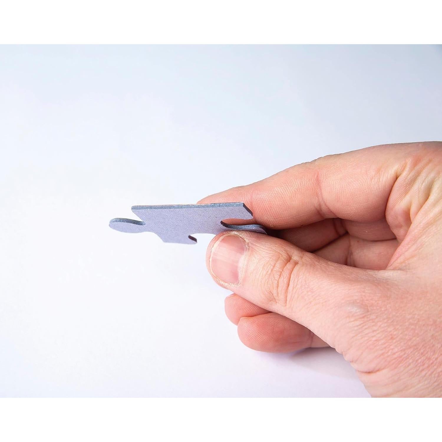 Rompecabezas Clementoni Princesa Disney 1000 Piezas 98x33cm