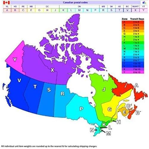 Zapatos Disfraz Elsa Frozen Niñas Ajustables