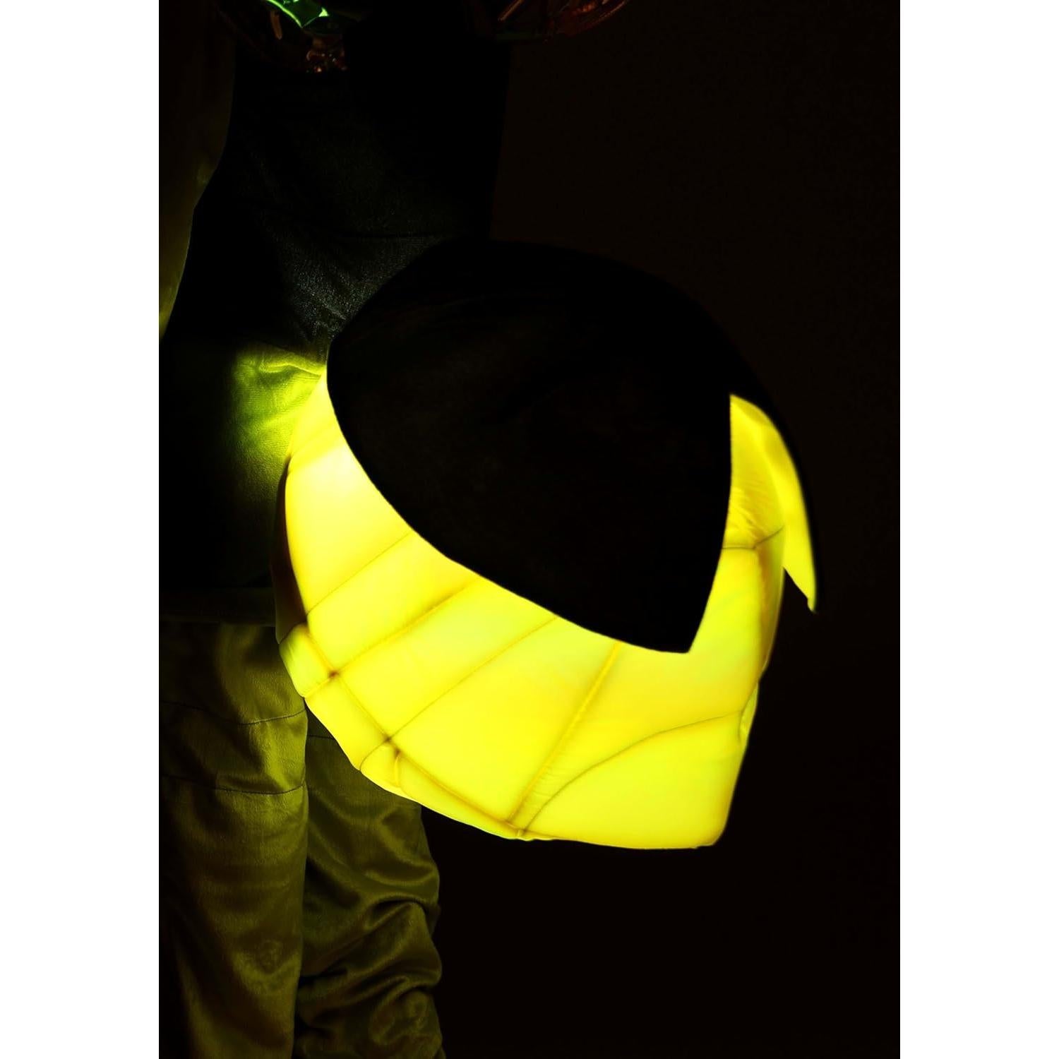 Disfraz Deluxe Disney Princesa y el Sapo Ray Niños Grande