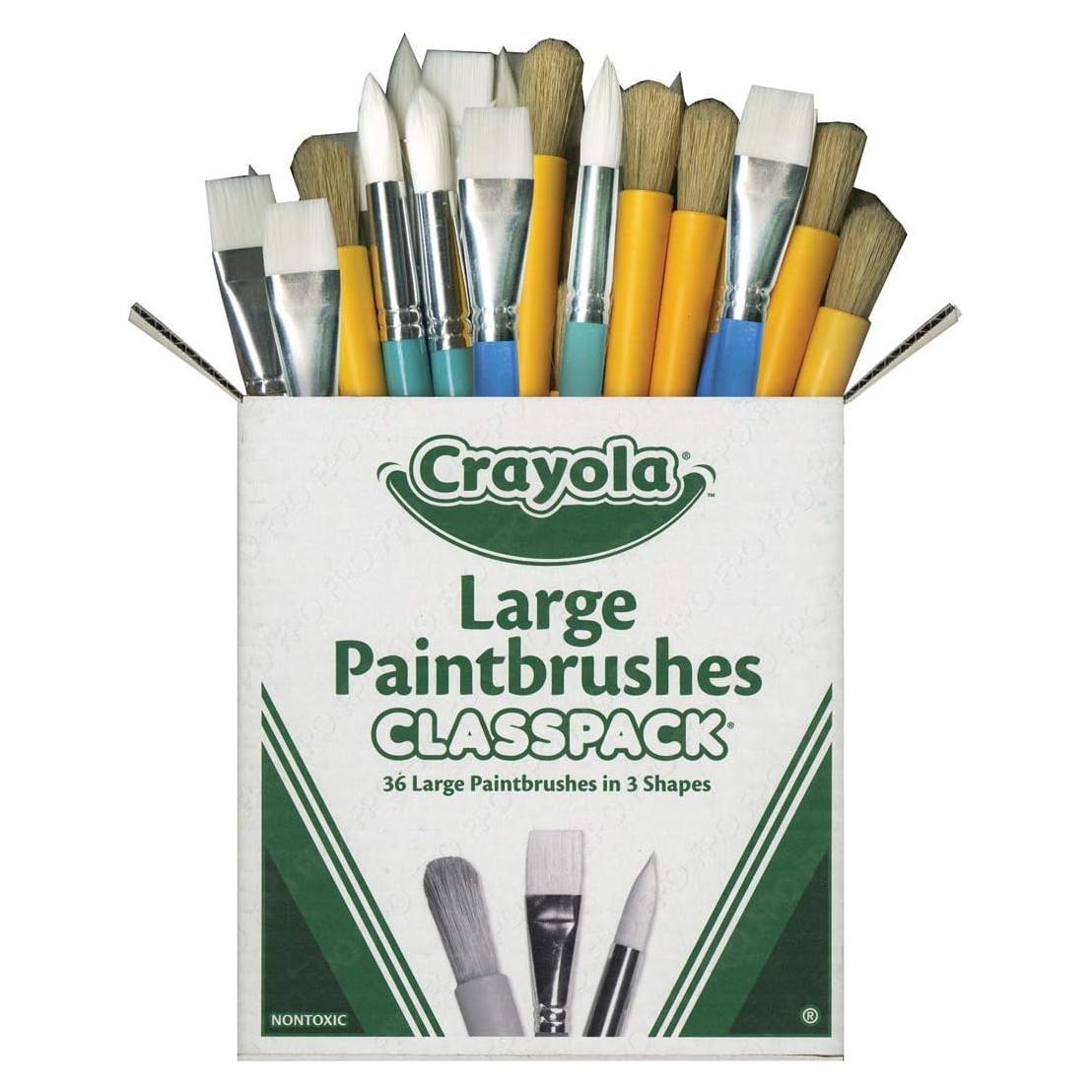 Paquete de Pinceles Crayola 36 Unidades para Niños