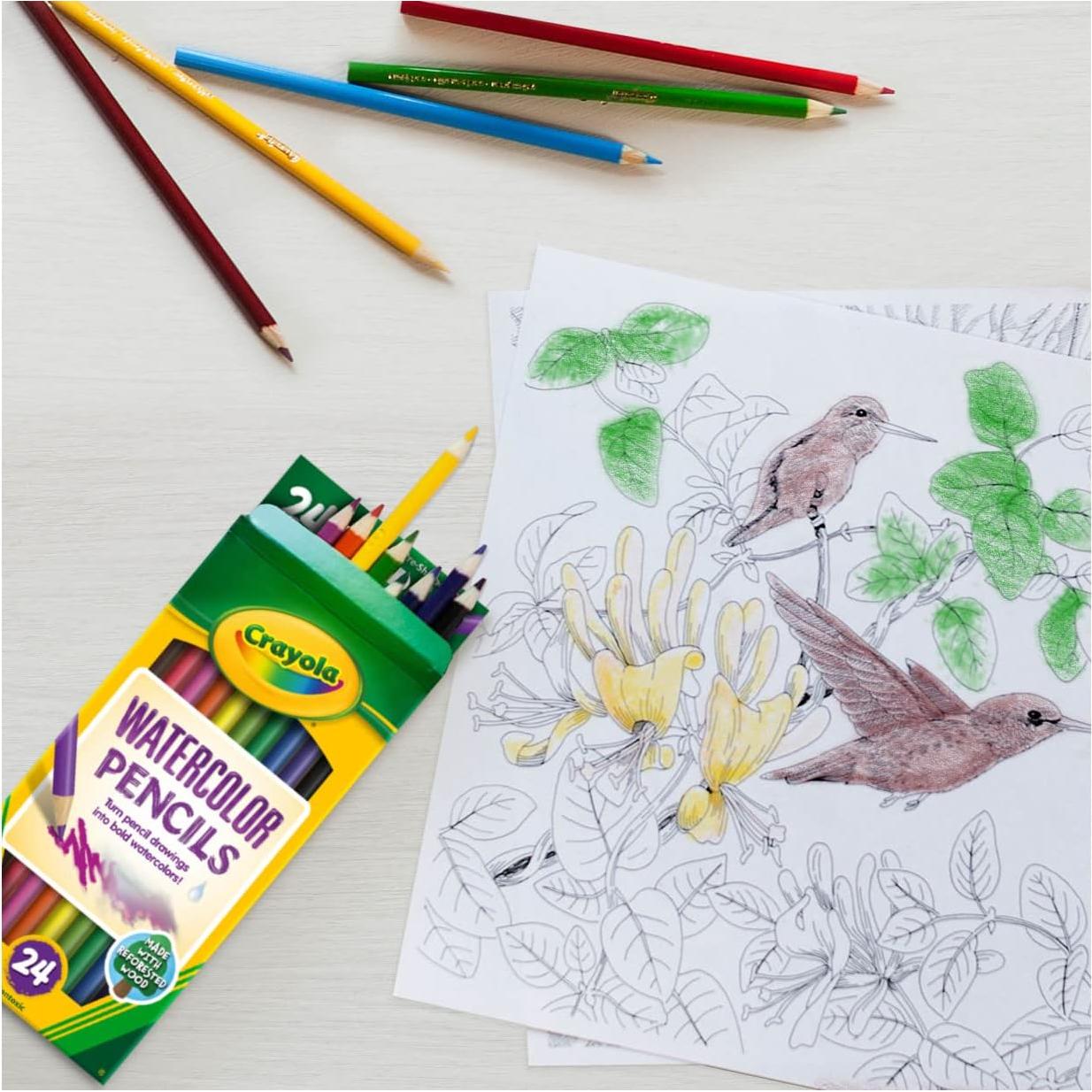 Lápices de Acuarela Crayola 24 Colores Preafilados