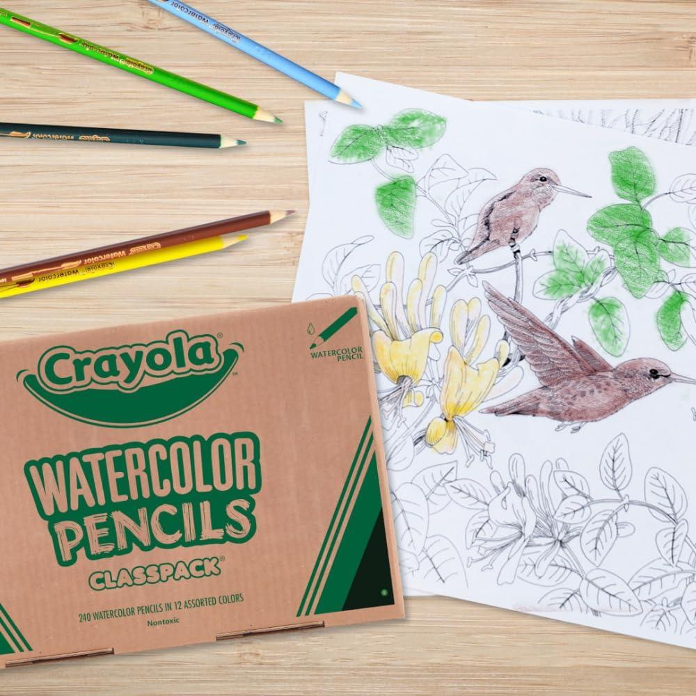Lápices Acuarelables Crayola 240ct para Aula, 12 Colores