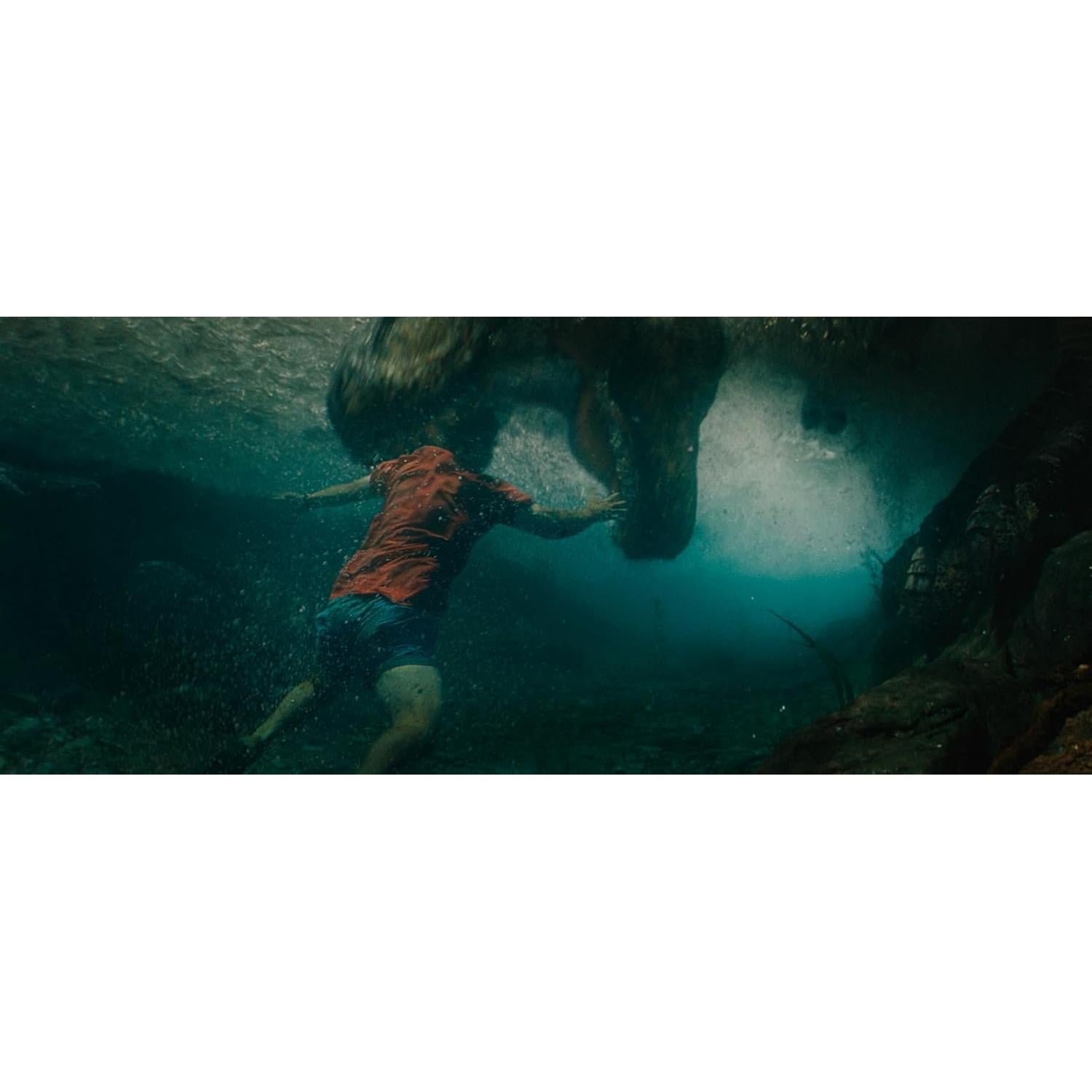 Jurassic World Renacimiento DVD - Película de Acción 2025