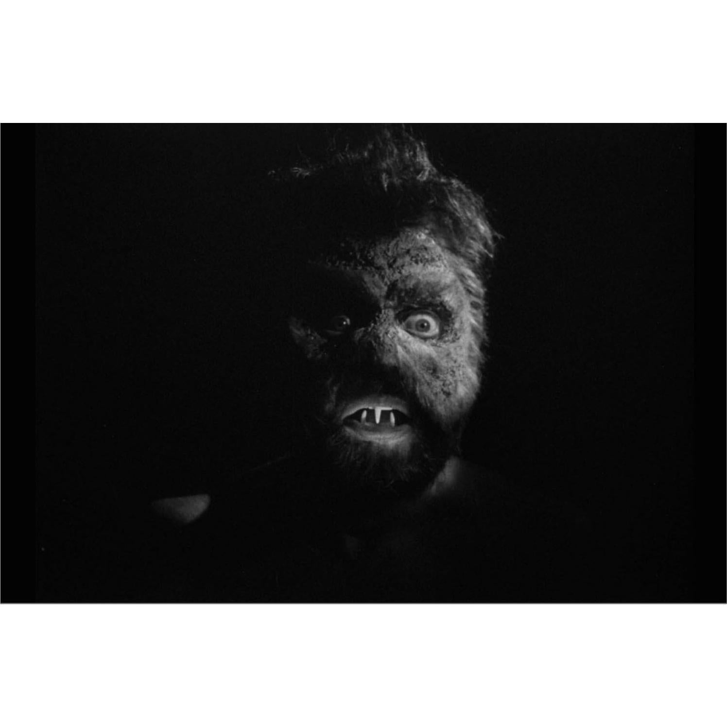 Horrores de la Isla de las Arañas Blu-ray Severin 2020