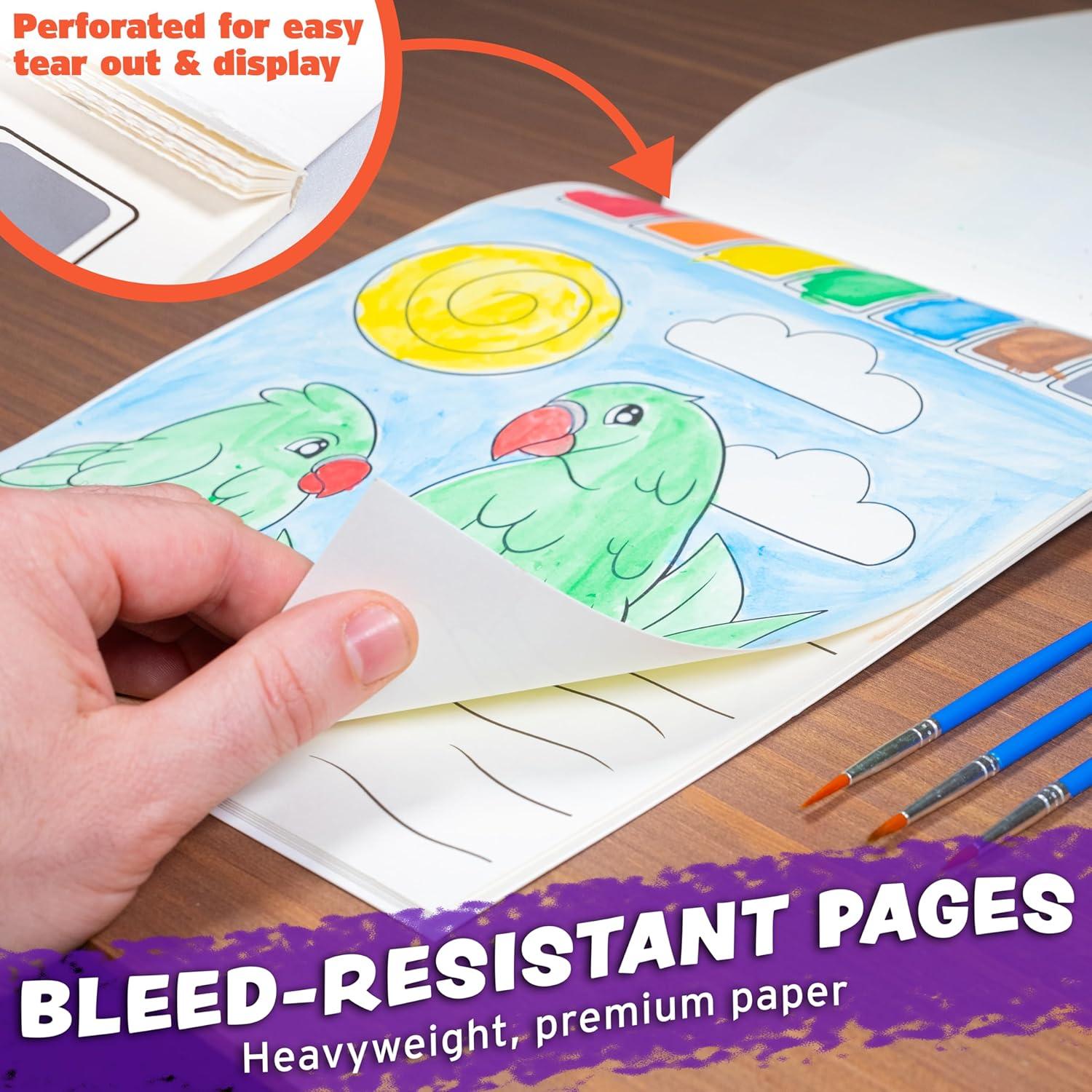 Libros para Pintar con Agua Imagination Works - Set de 3