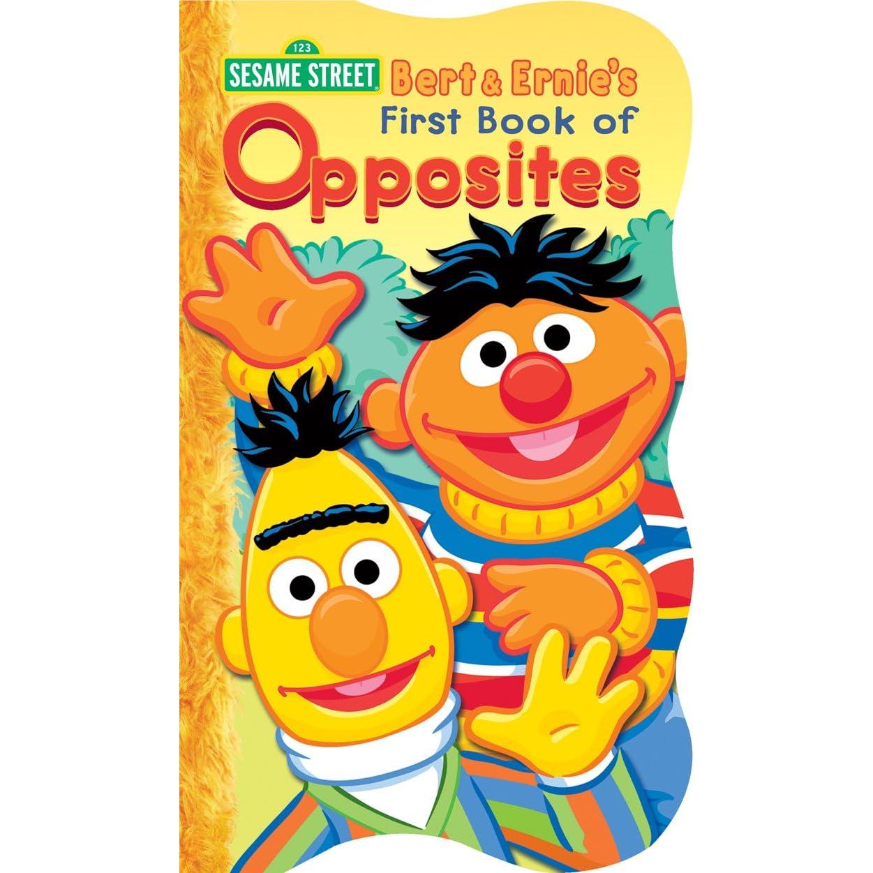 Conjunto de 4 Libros en Tablero Plaza Sésamo - Bendon