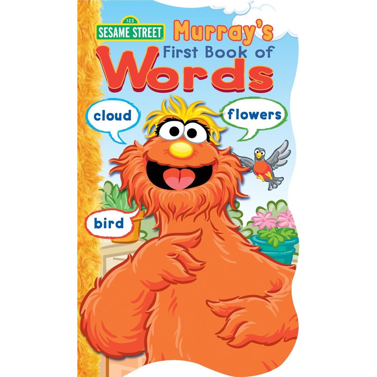 Conjunto de 4 Libros en Tablero Plaza Sésamo - Bendon