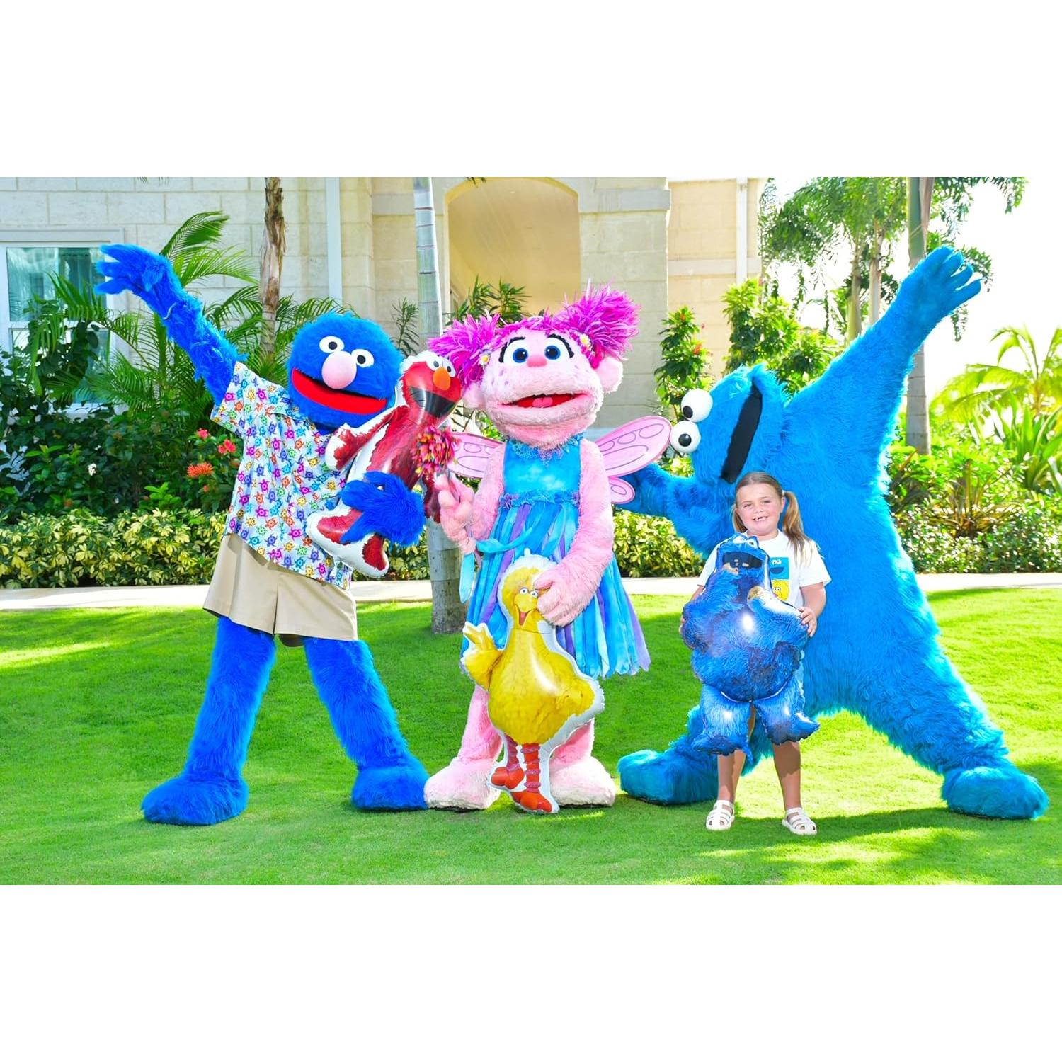 Paquete de globos de papel de aluminio Toyland Sesame Street - 3 piezas