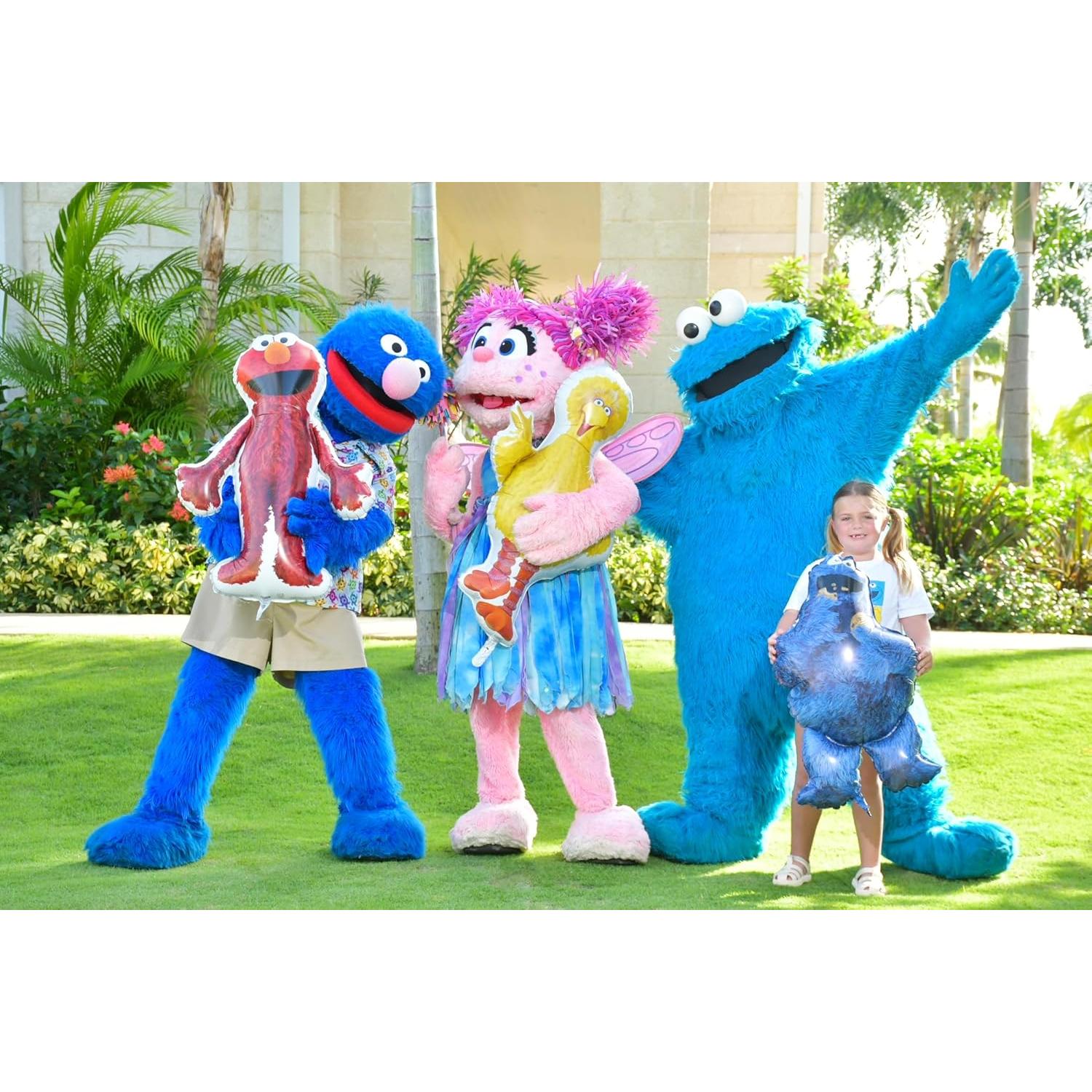 Paquete de globos de papel de aluminio Toyland Sesame Street - 3 piezas