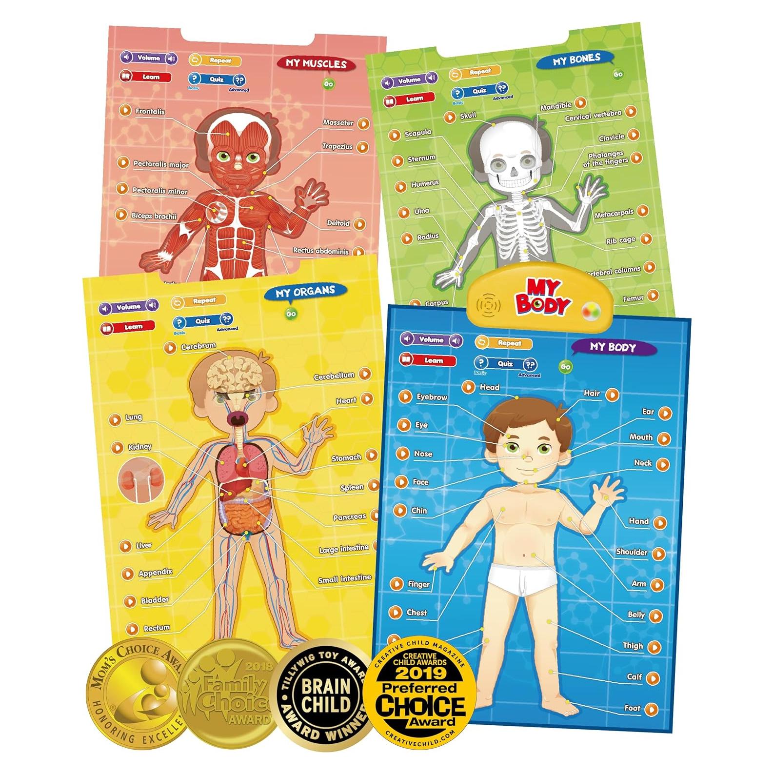 i-Poster Mi Cuerpo - Juguete Educativo Interactivo 56x47 cm