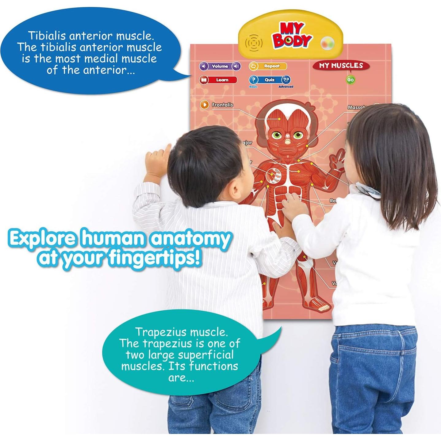 i-Poster Mi Cuerpo - Juguete Educativo Interactivo 56x47 cm