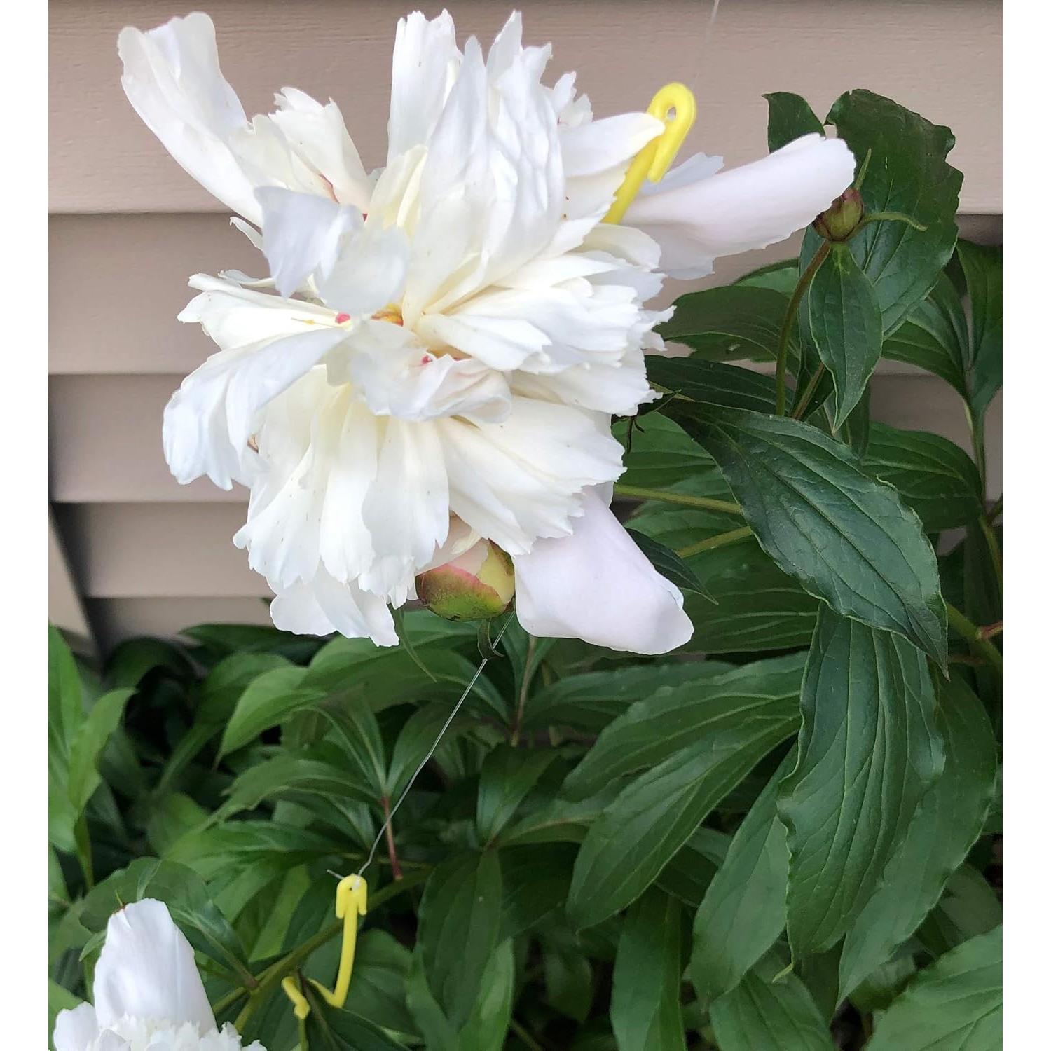 Soportes para Plantas Yoyo GrowCo - Paquete de 20 - 1.68 m