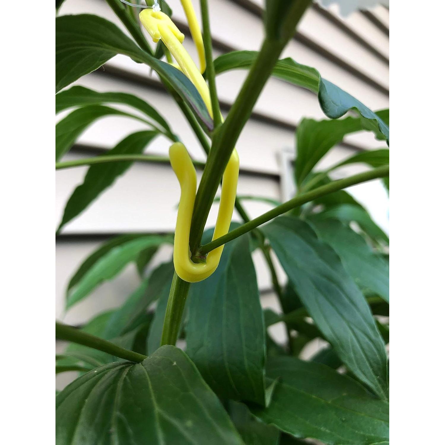 Soportes para Plantas Arborly - Paquete de 100 - 1,68 m