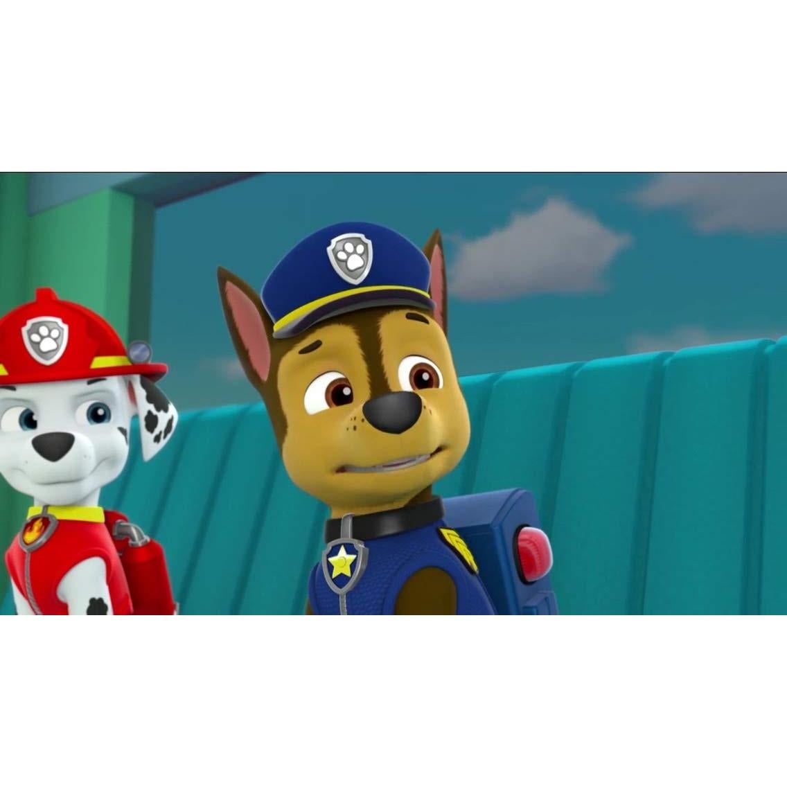 PAW Patrol Paquete Fiesta 7 Discos DVD 39 Episodios